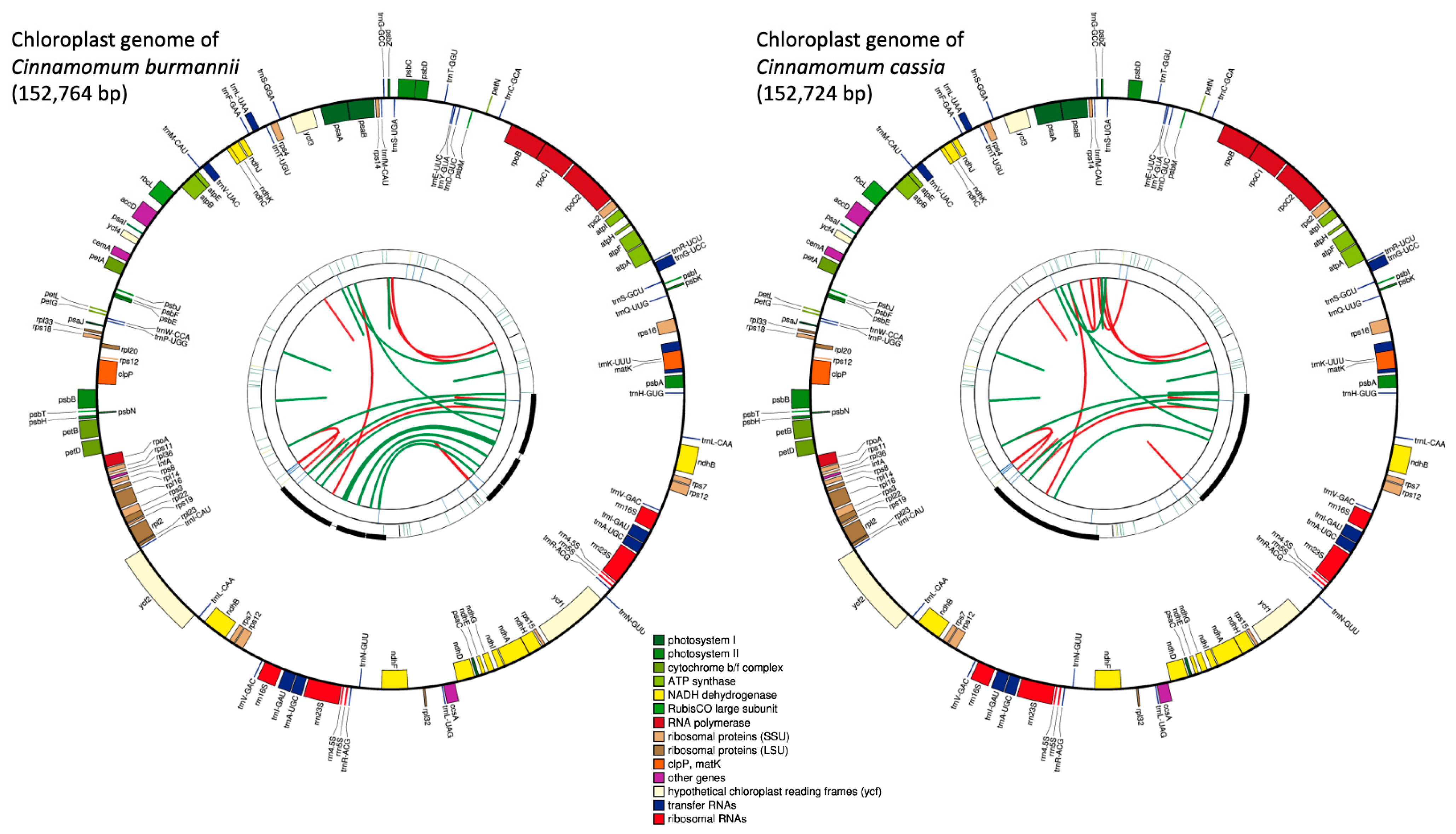 Plants 13 00841 g001