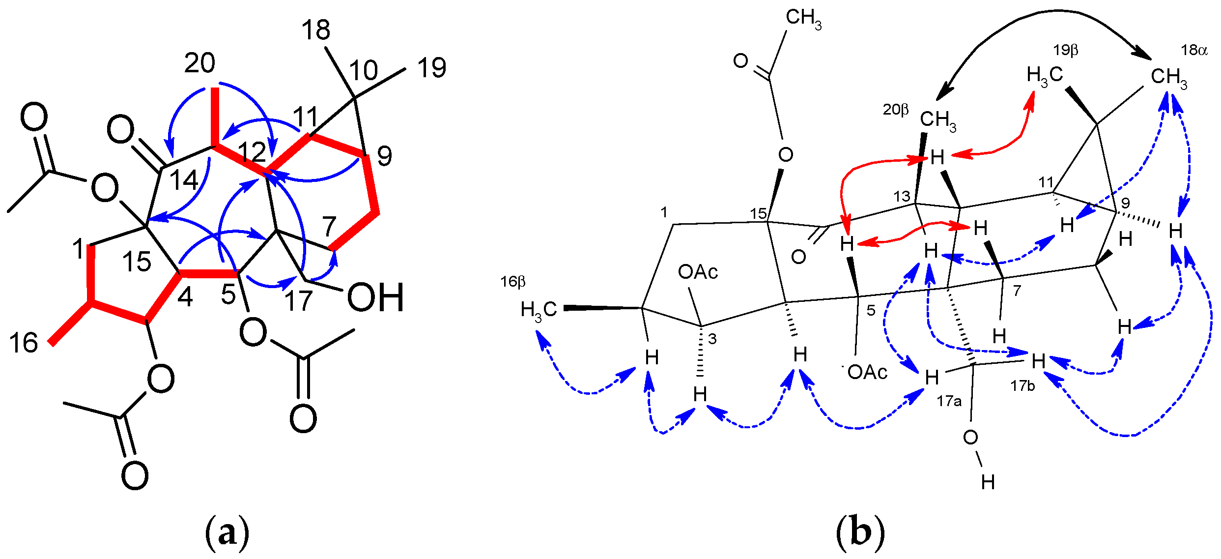 Plants 13 00842 g001