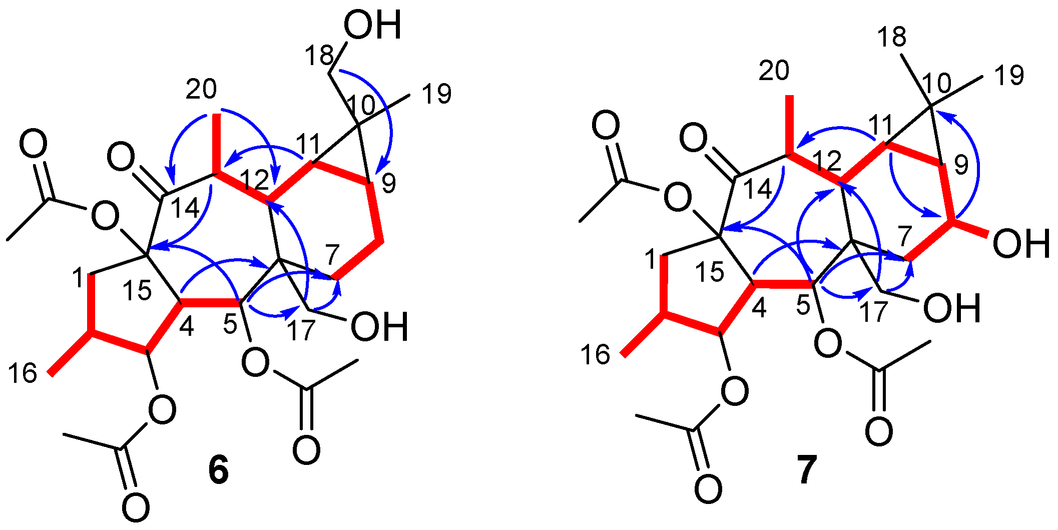 Plants 13 00842 g002