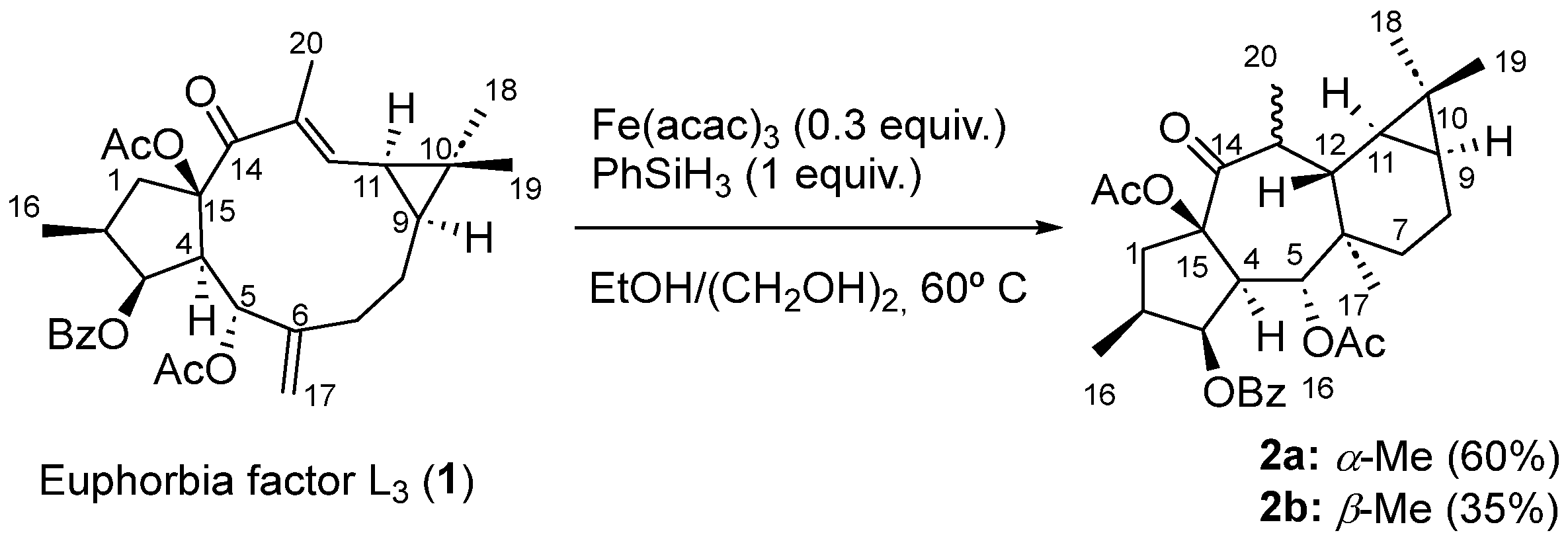 Plants 13 00842 sch002