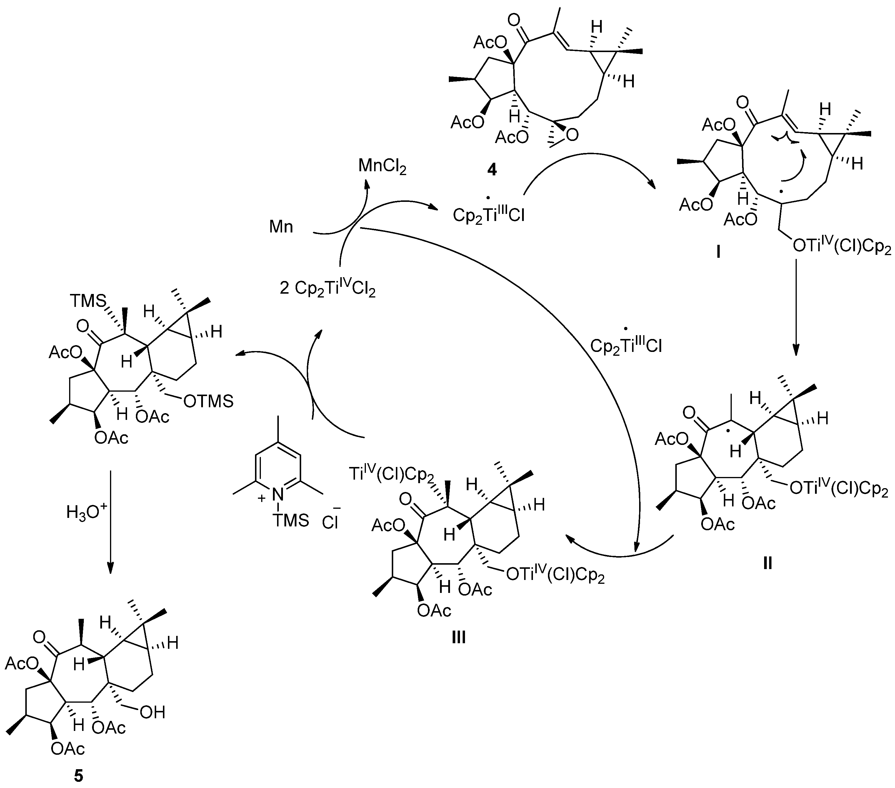 Plants 13 00842 sch004