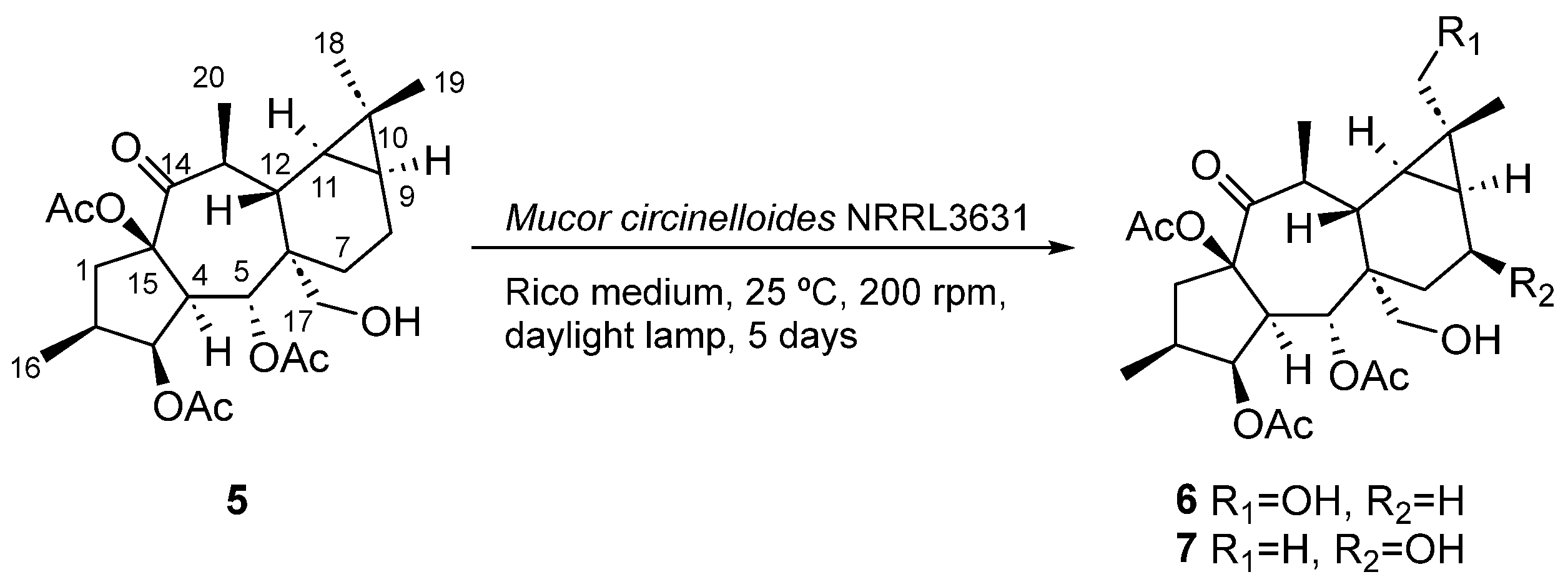 Plants 13 00842 sch005