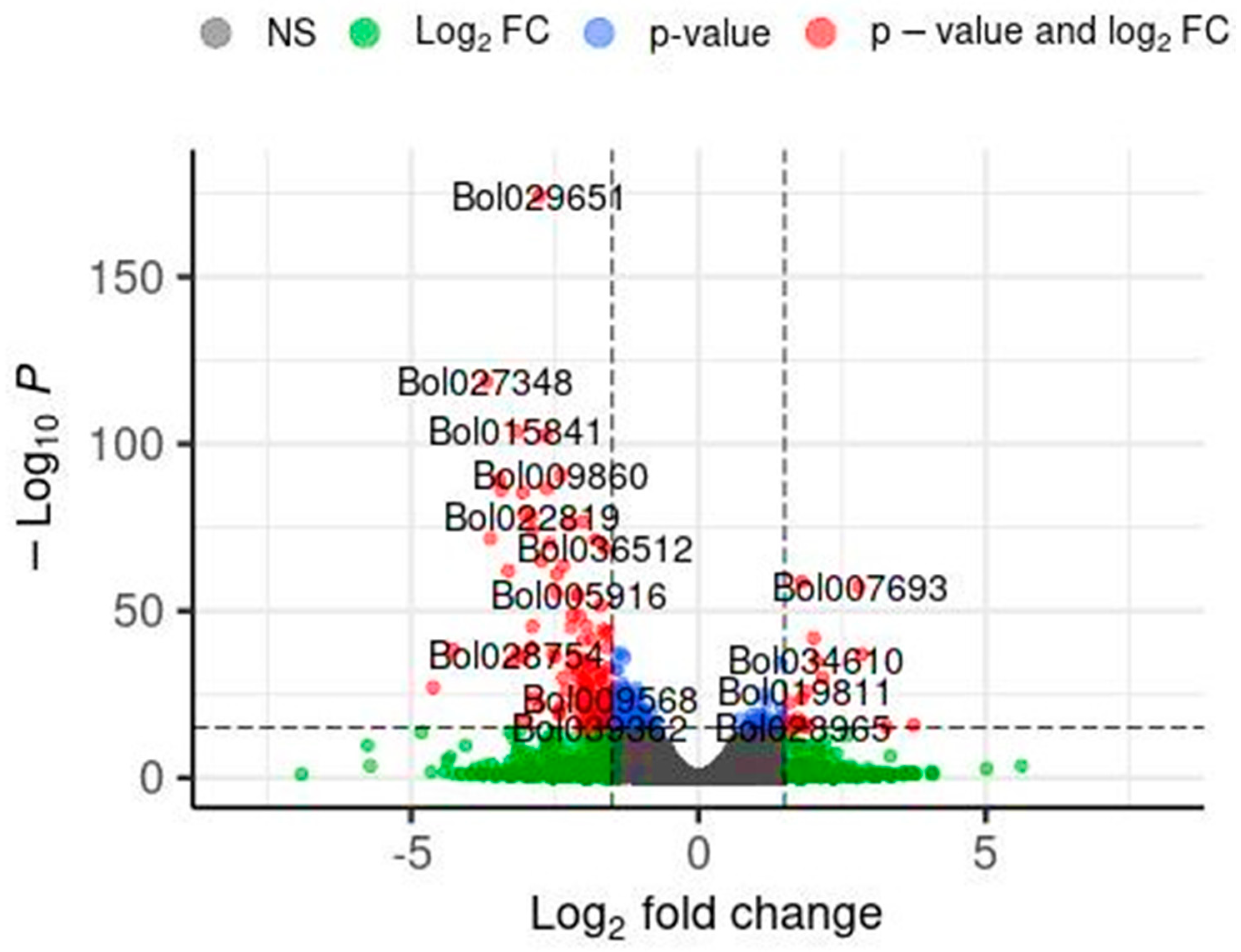Plants 13 00843 g001