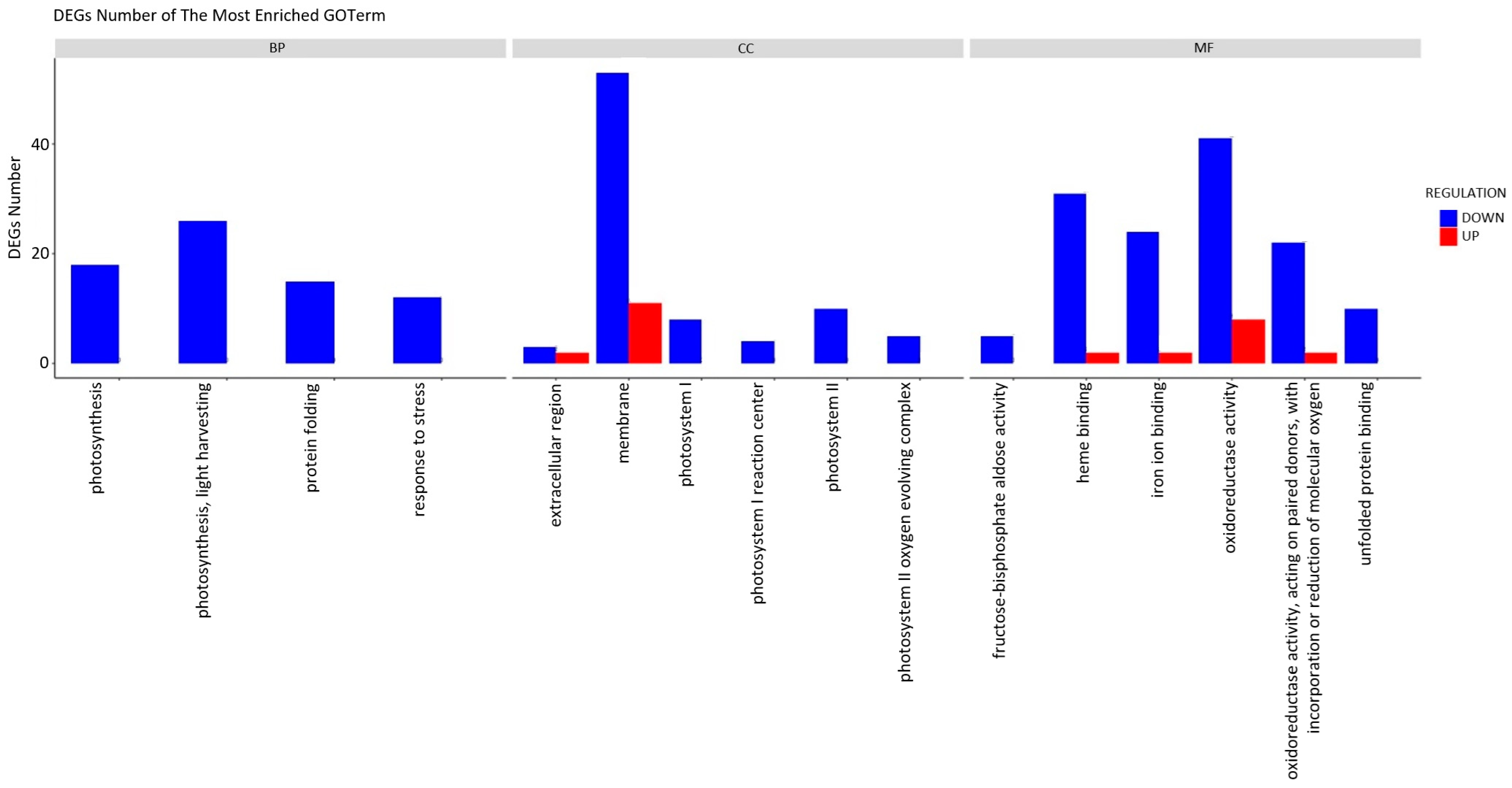 Plants 13 00843 g005