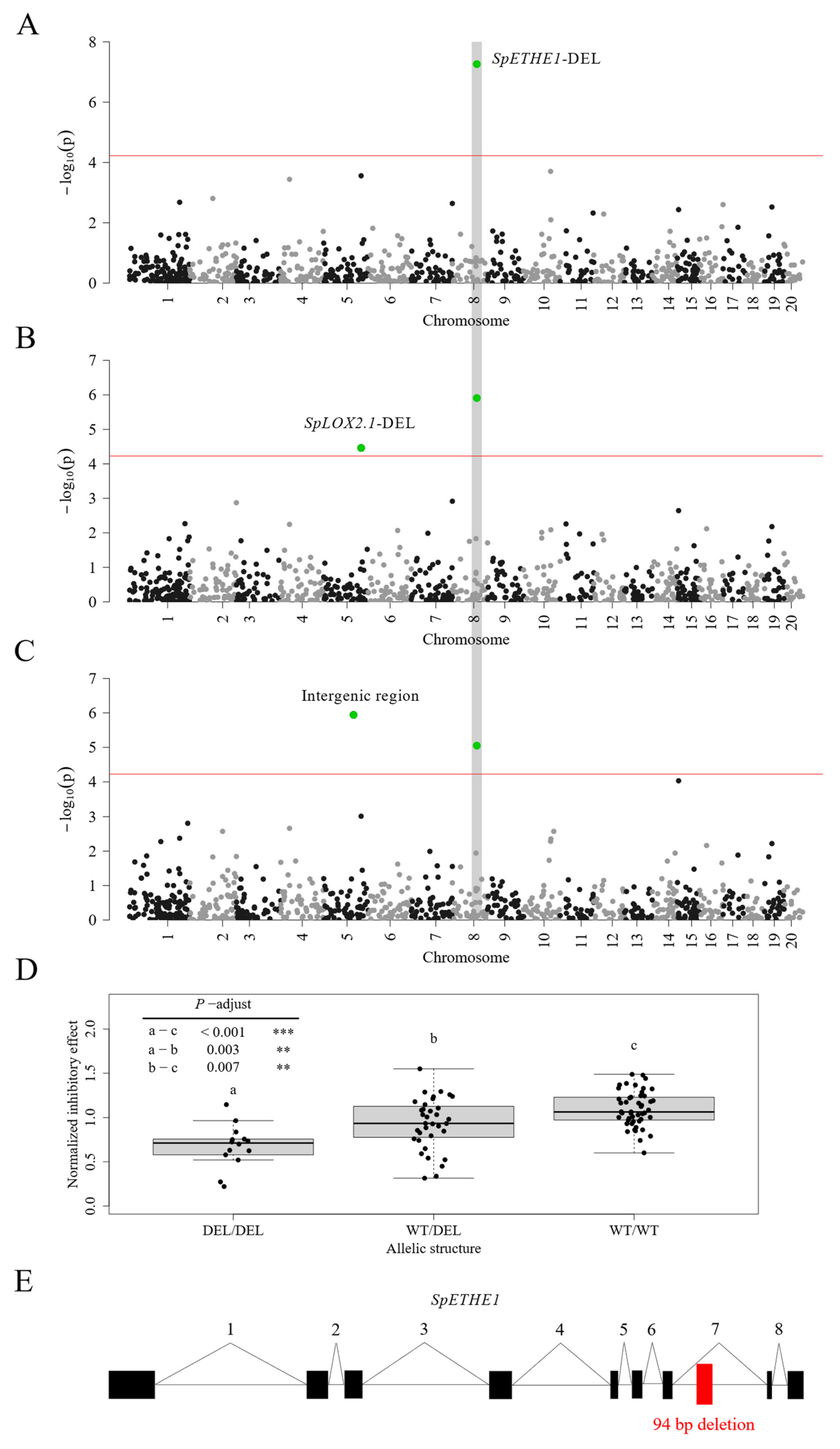 Plants 13 00845 g004