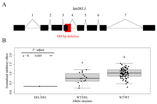 Plants 13 00845 g0a12