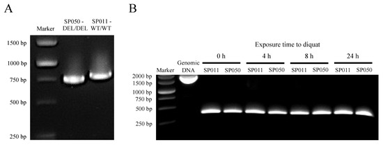 Plants 13 00845 g0a13