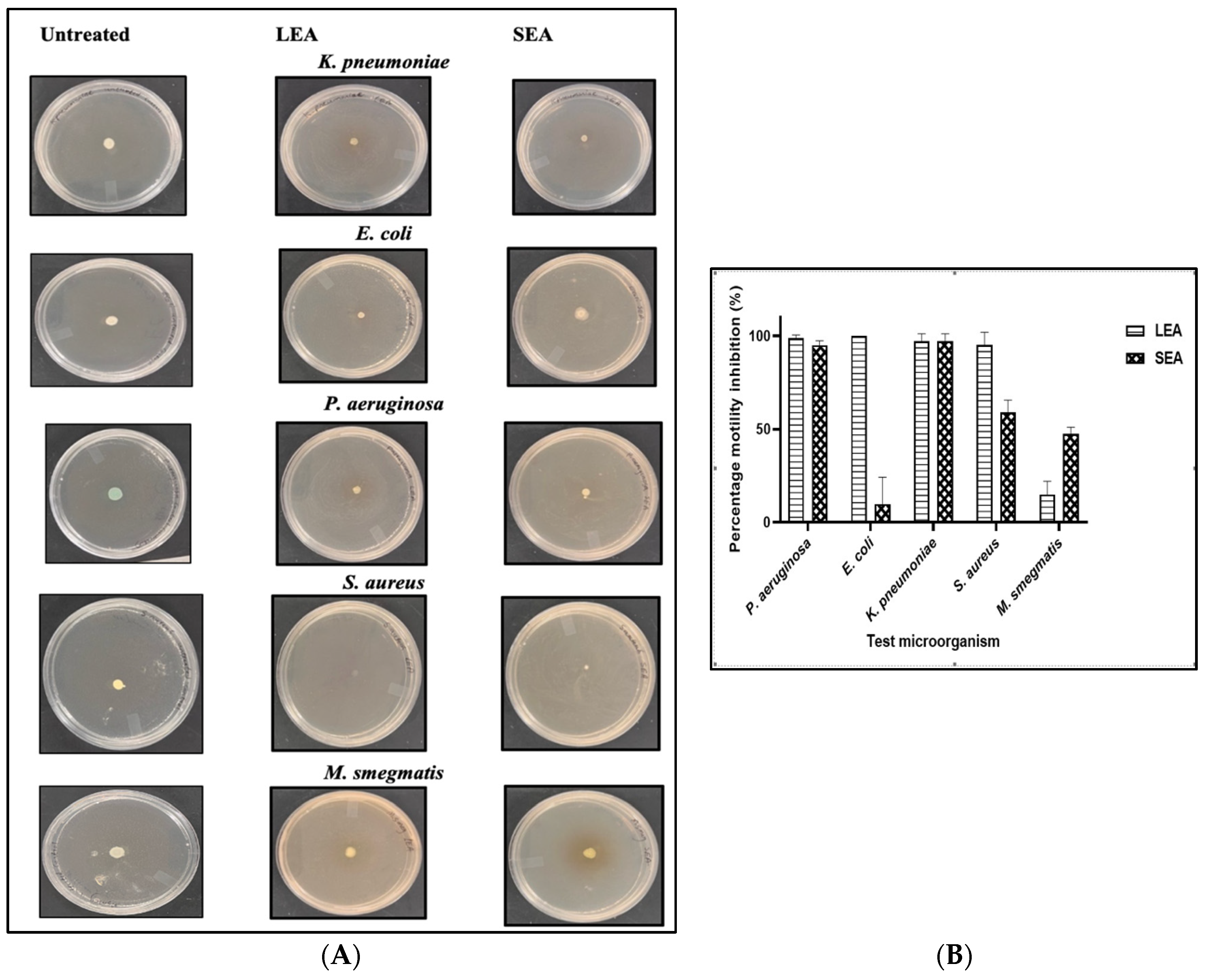Plants 13 00847 g004