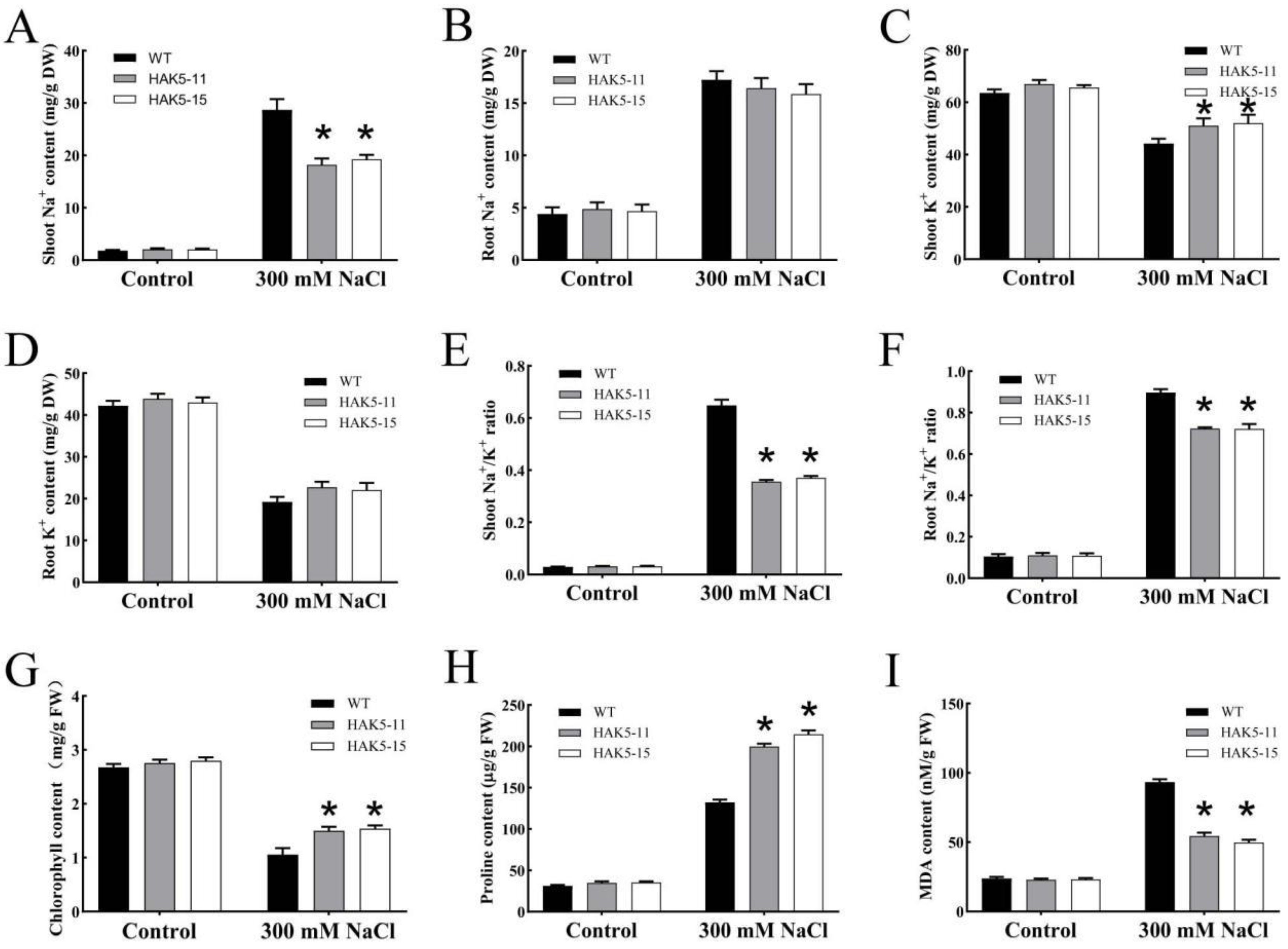 Plants 13 00849 g008