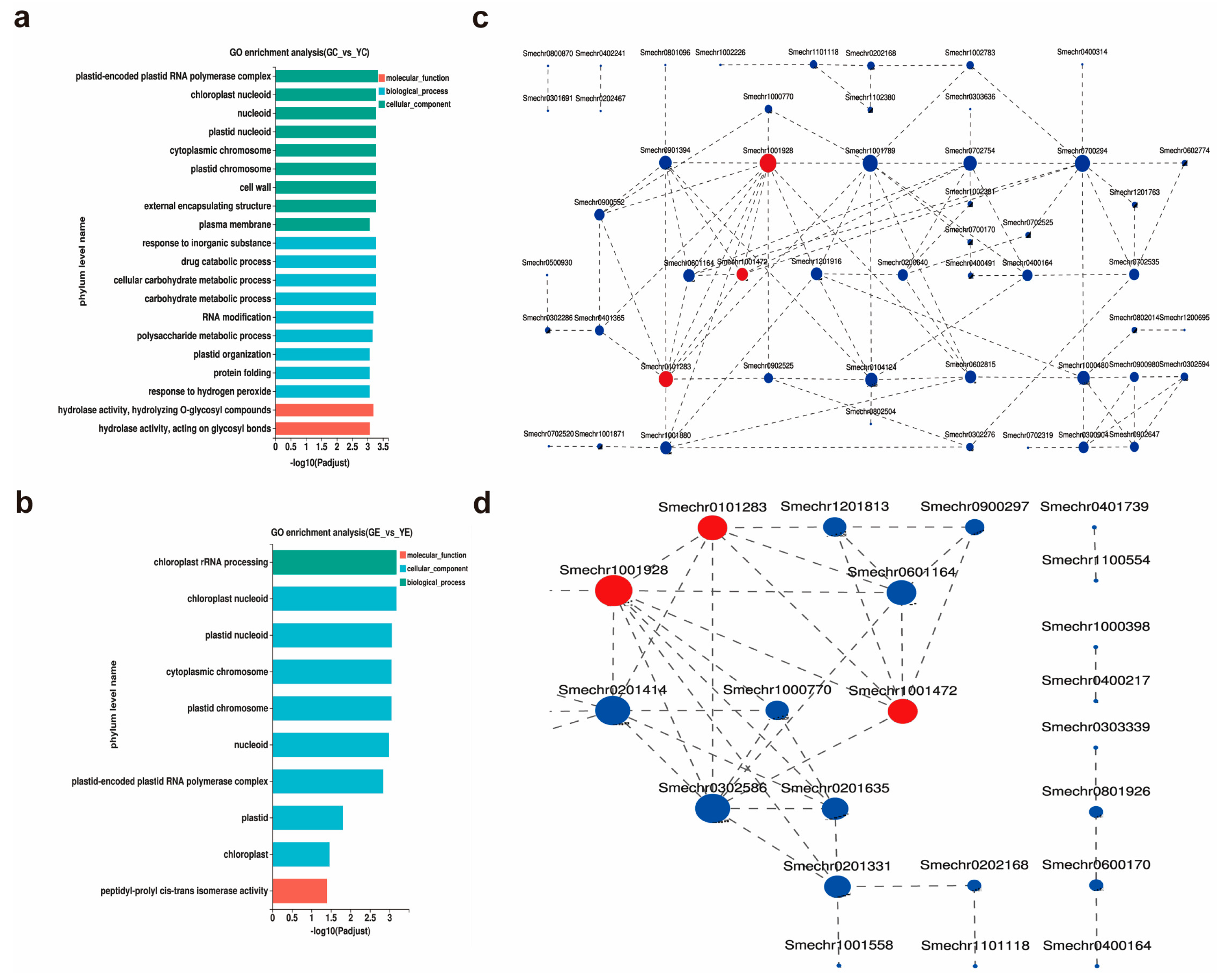 Plants 13 00855 g004