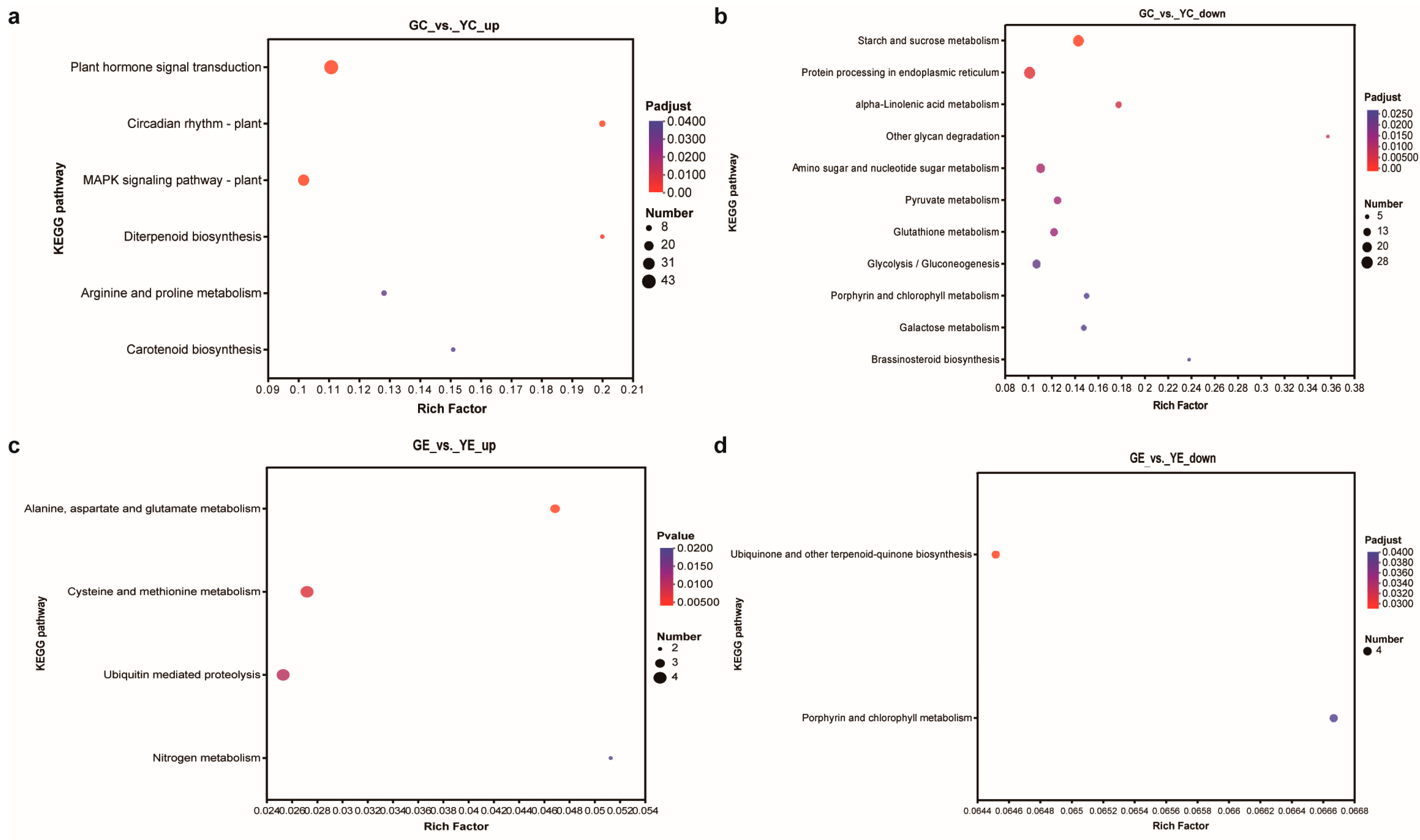Plants 13 00855 g005
