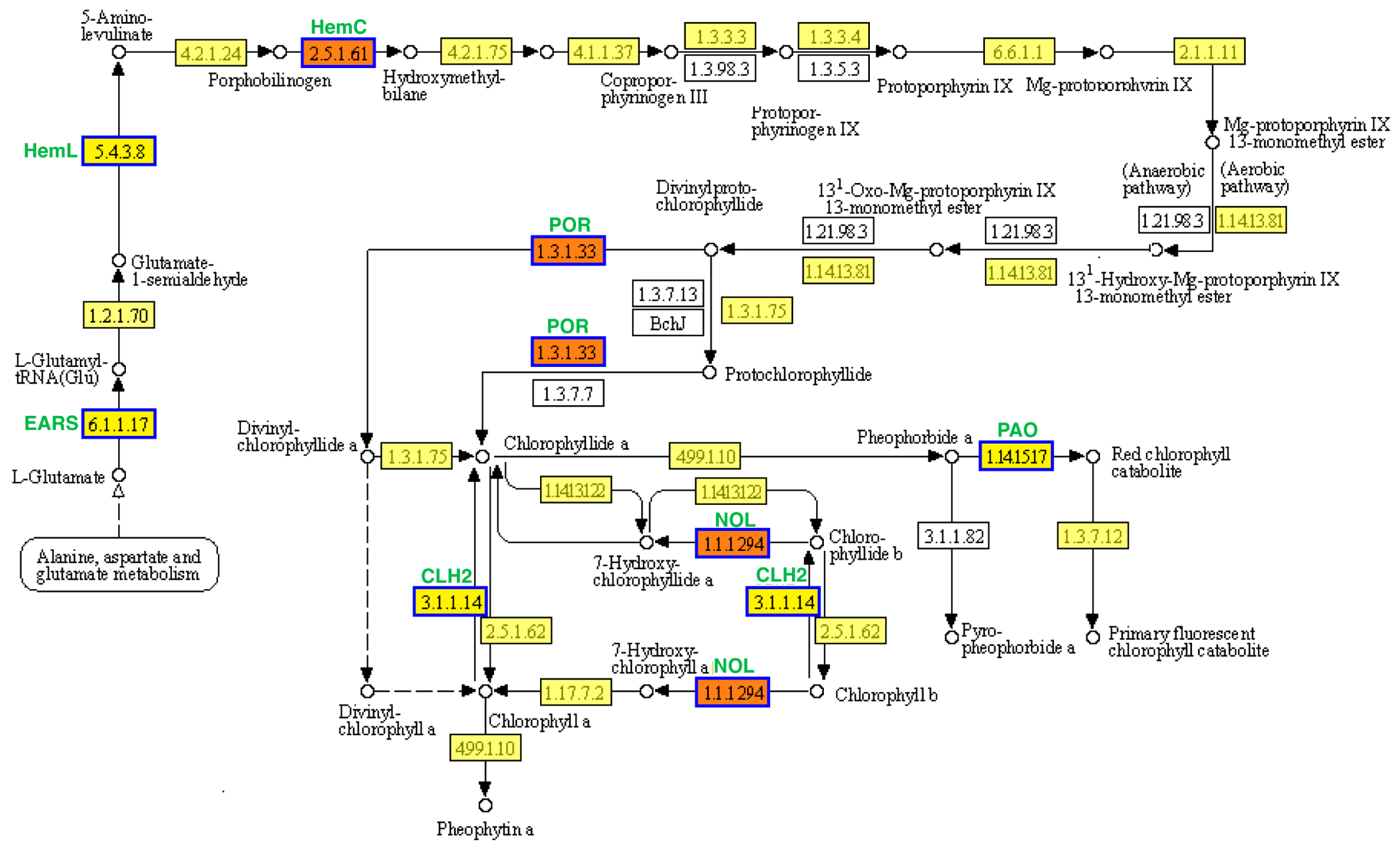 Plants 13 00855 g006