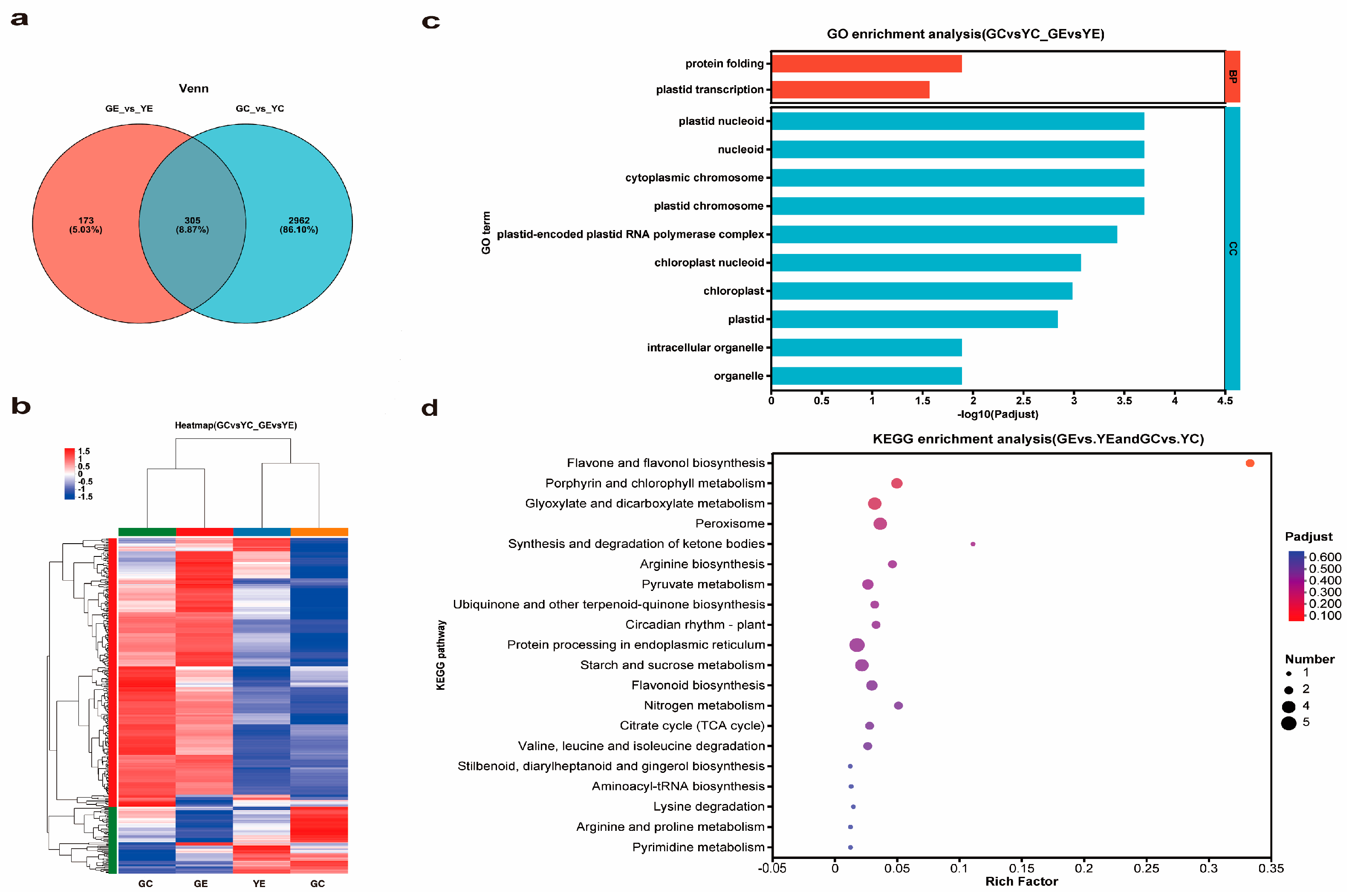 Plants 13 00855 g007
