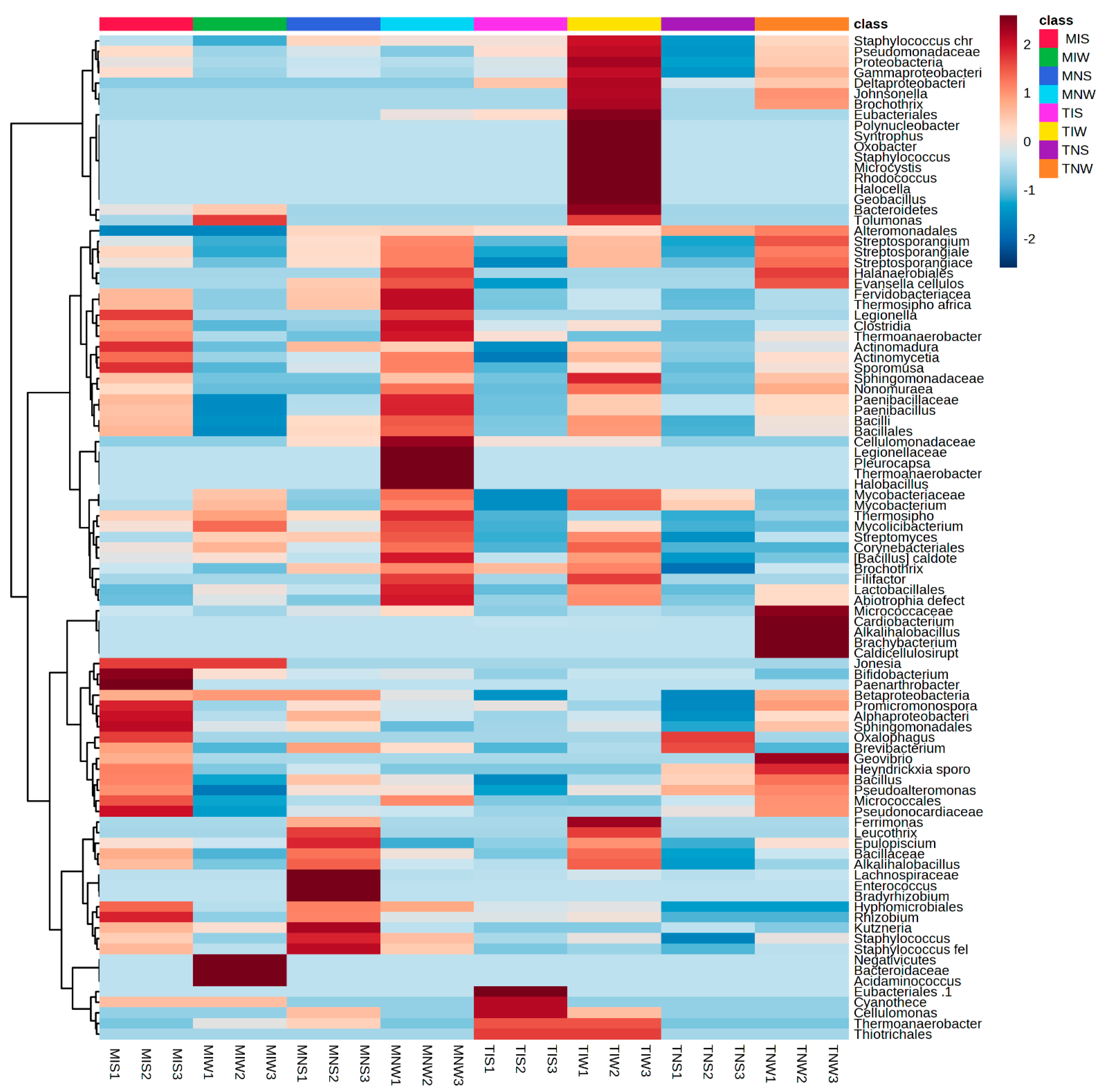 Plants 13 00857 g002