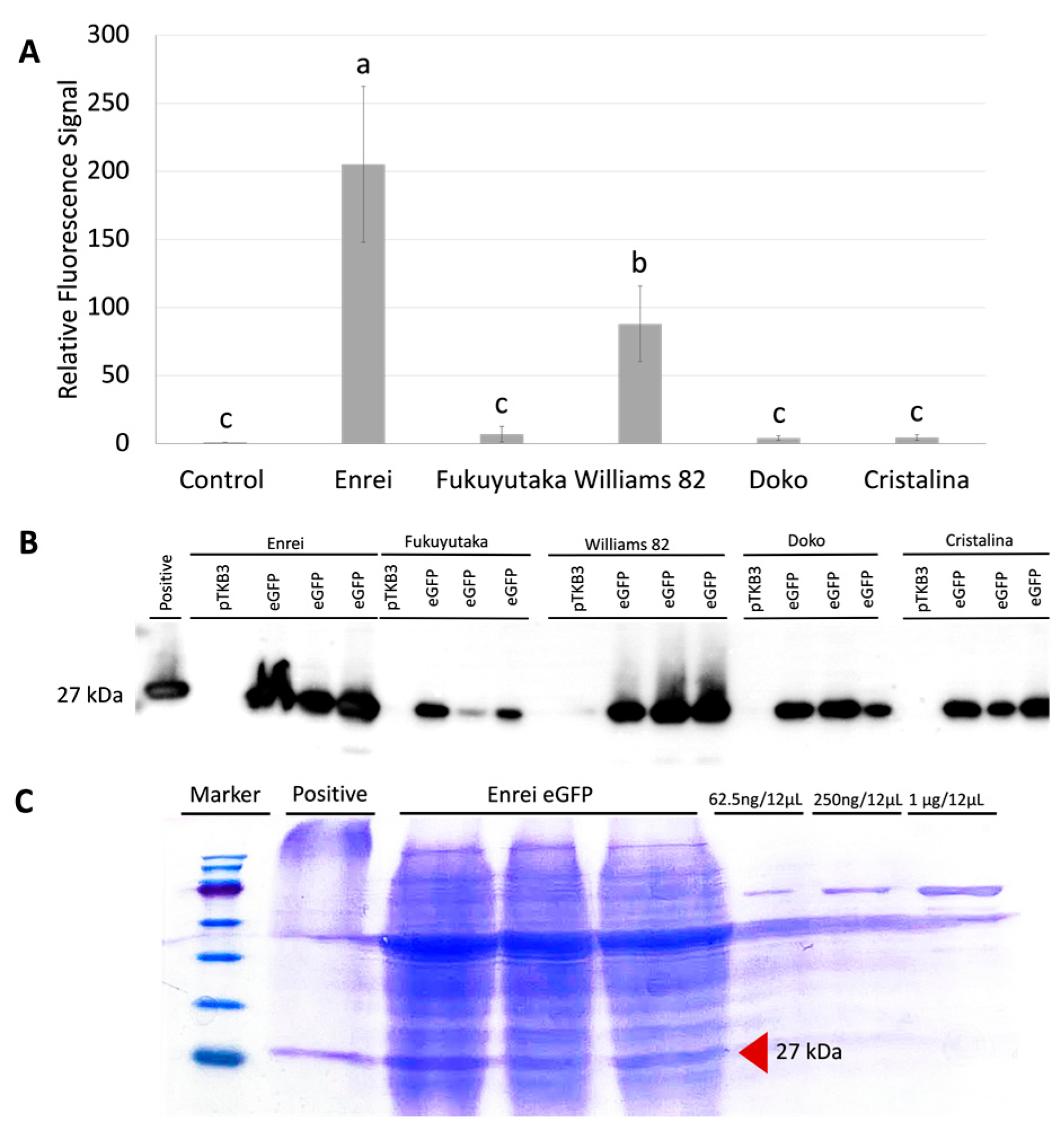 Plants 13 00858 g004