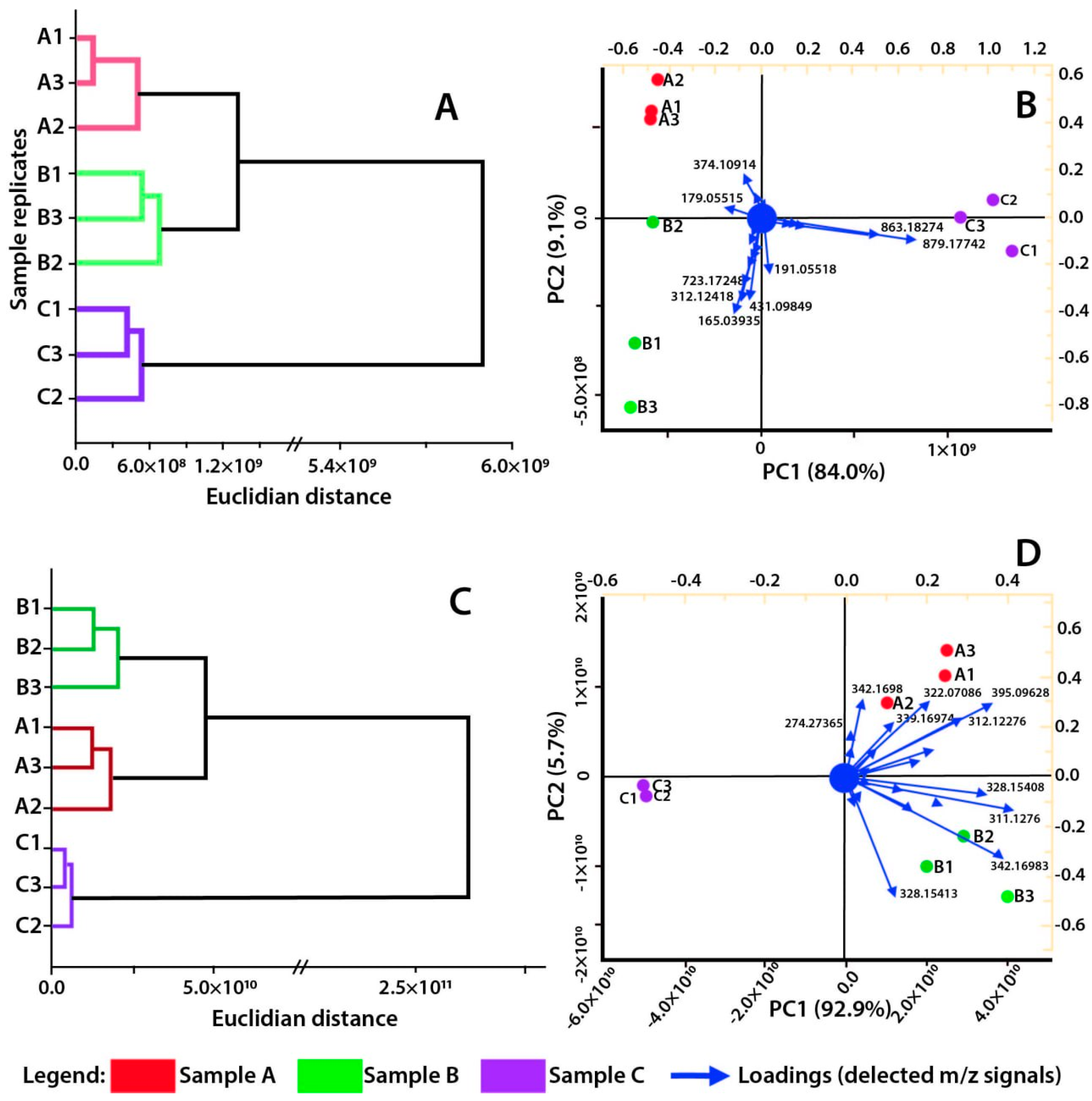 Plants 13 00859 g001