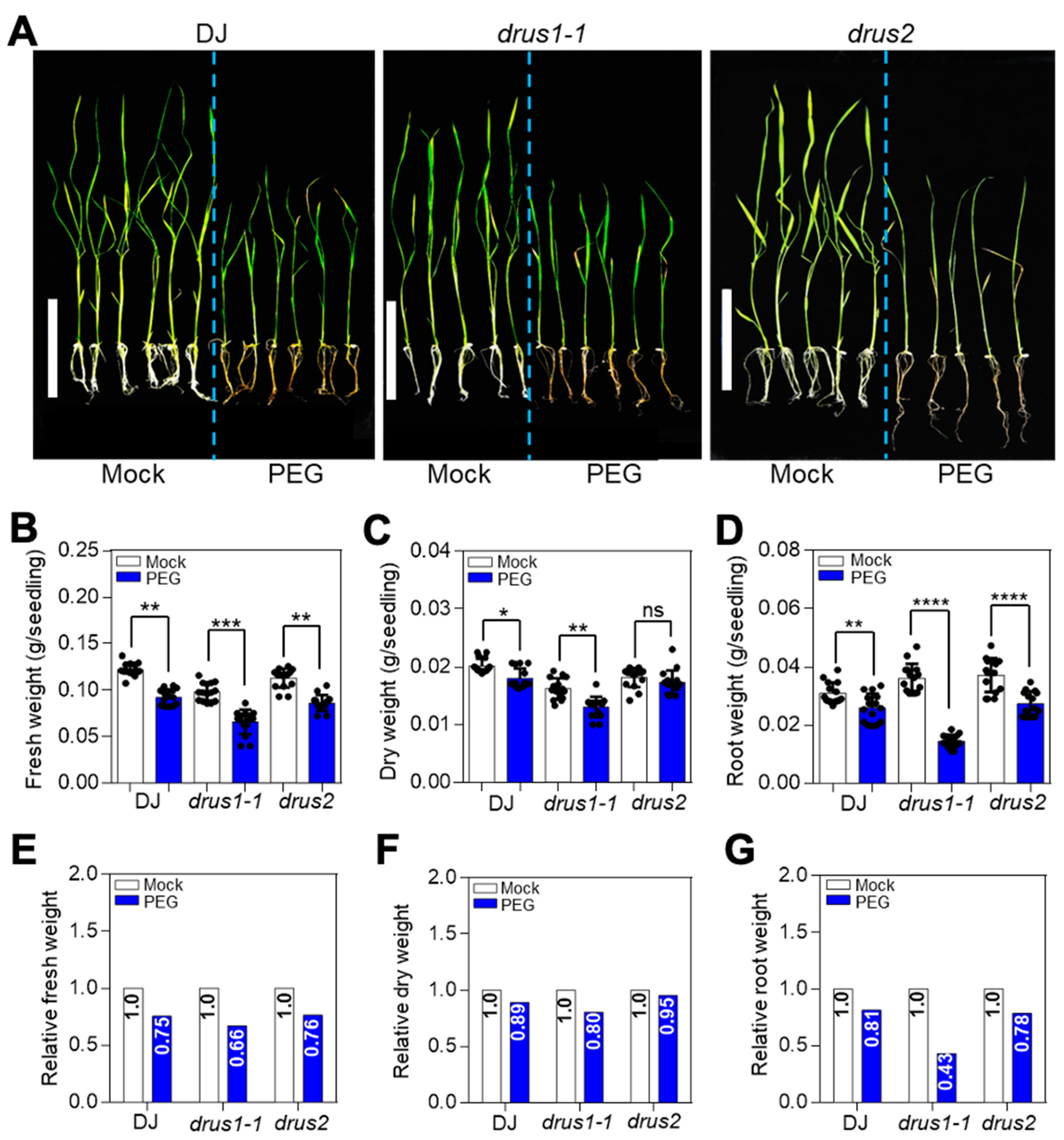 Plants 13 00860 g002