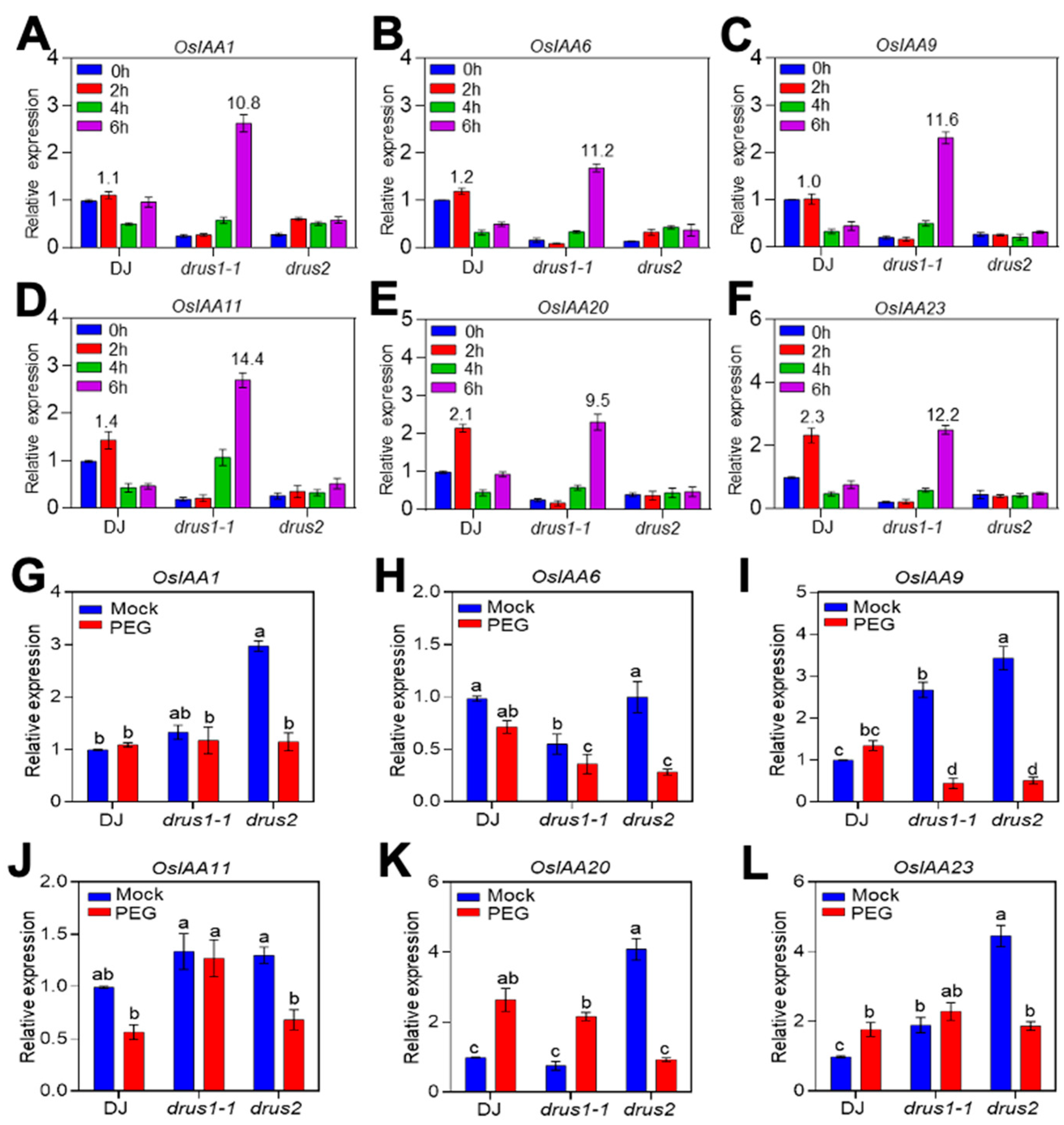 Plants 13 00860 g008