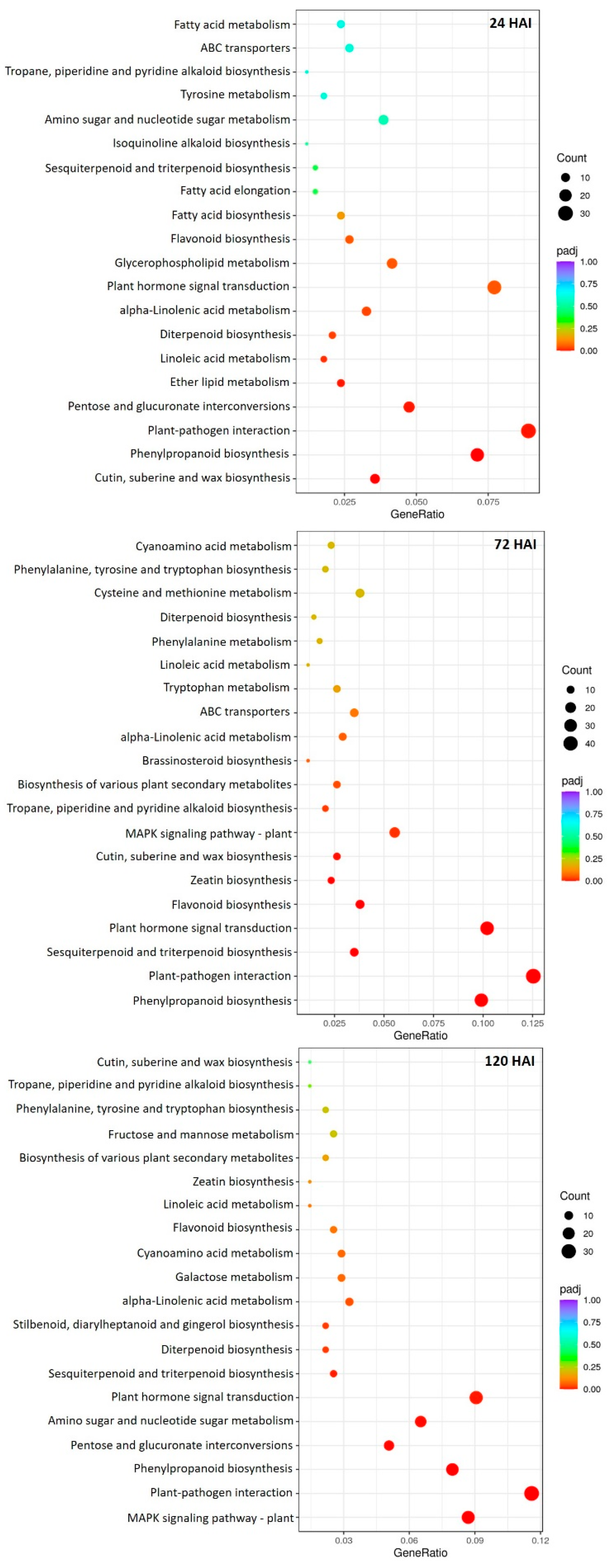 Plants 13 00861 g004