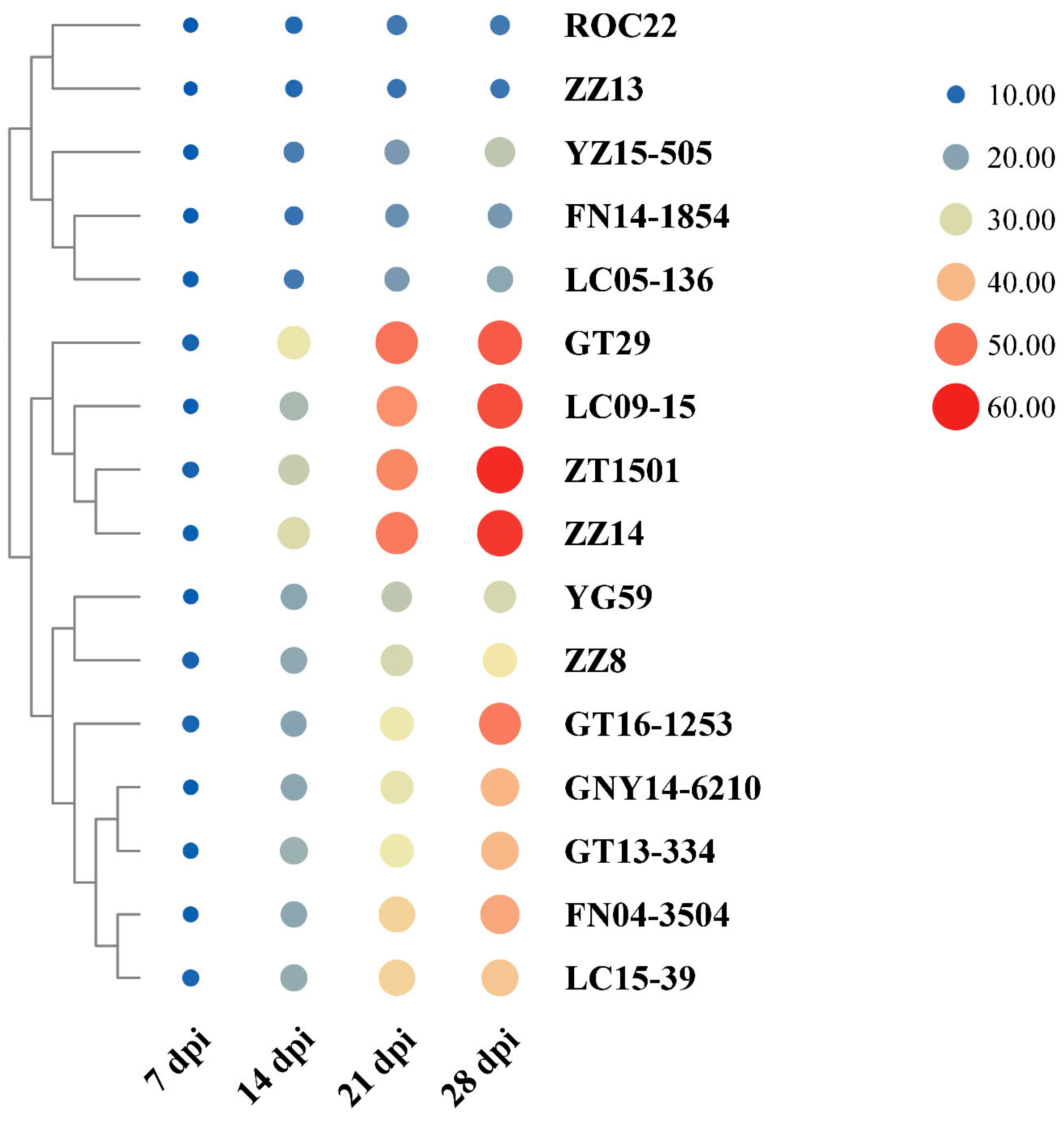 Plants 13 00862 g002