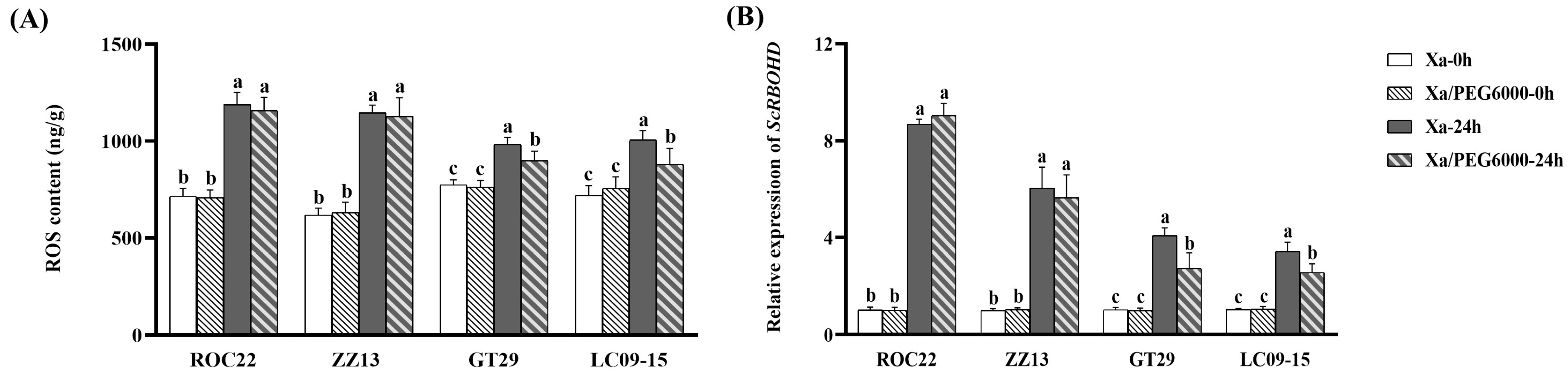 Plants 13 00862 g004