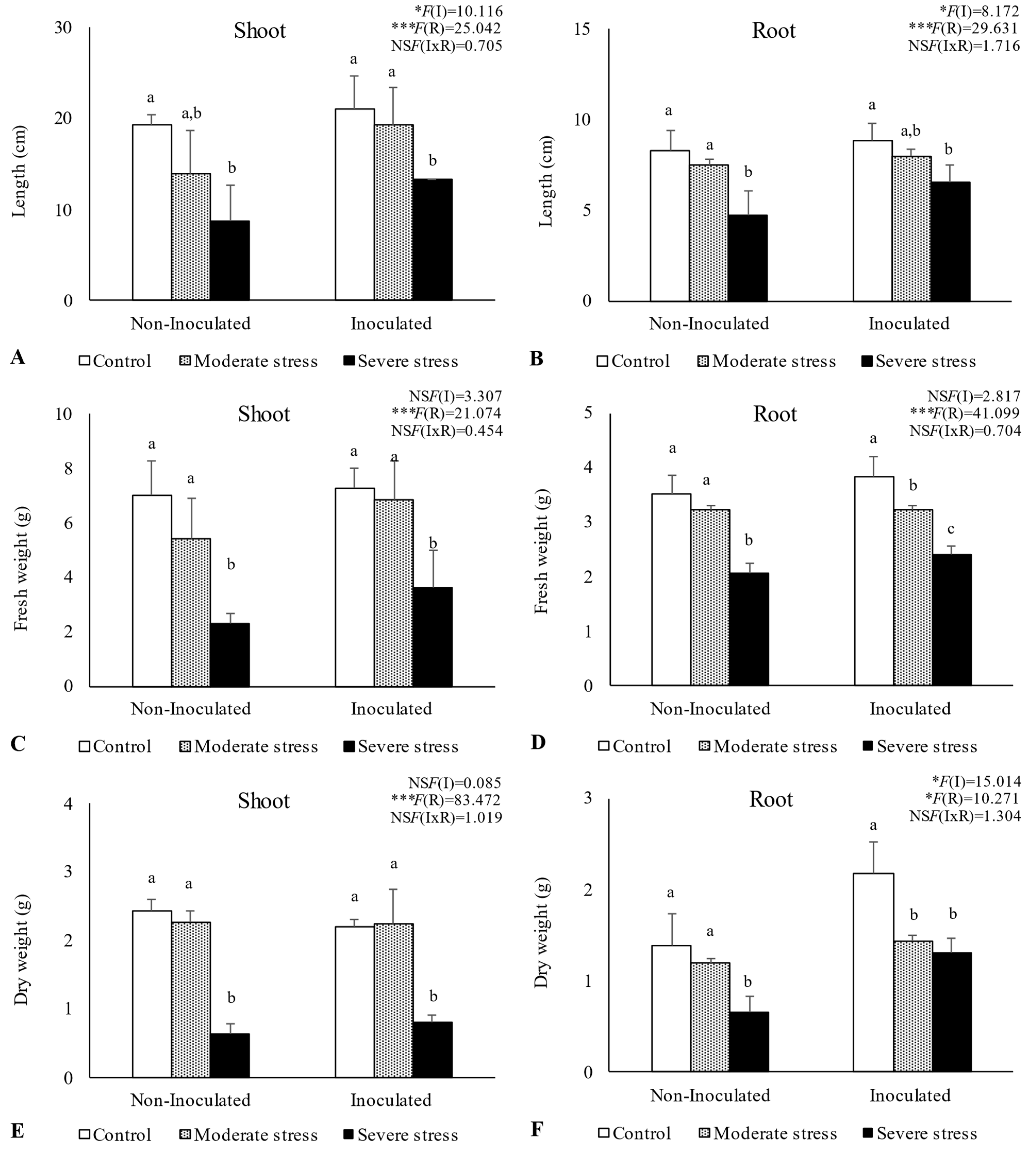 Plants 13 00863 g002
