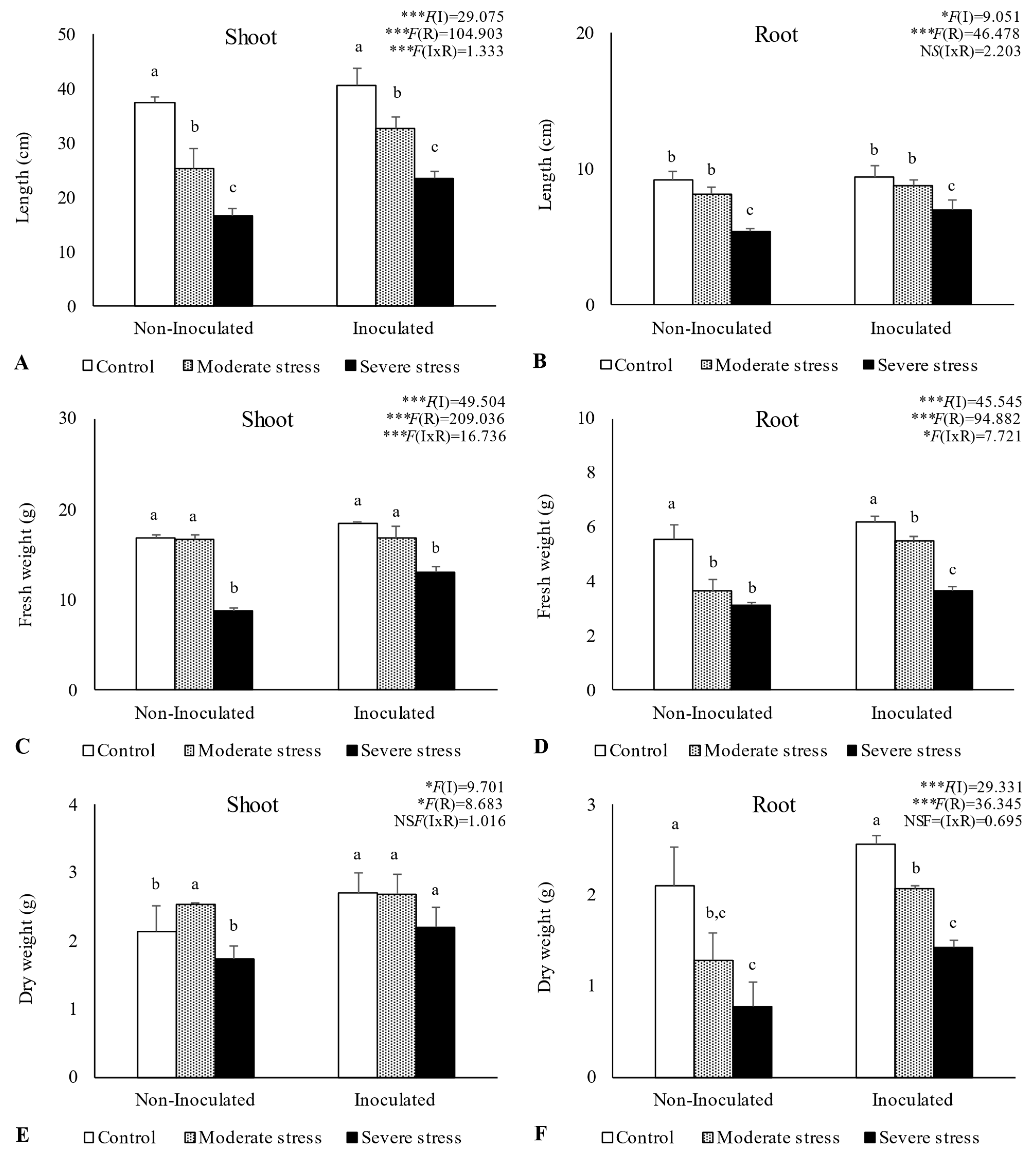 Plants 13 00863 g003