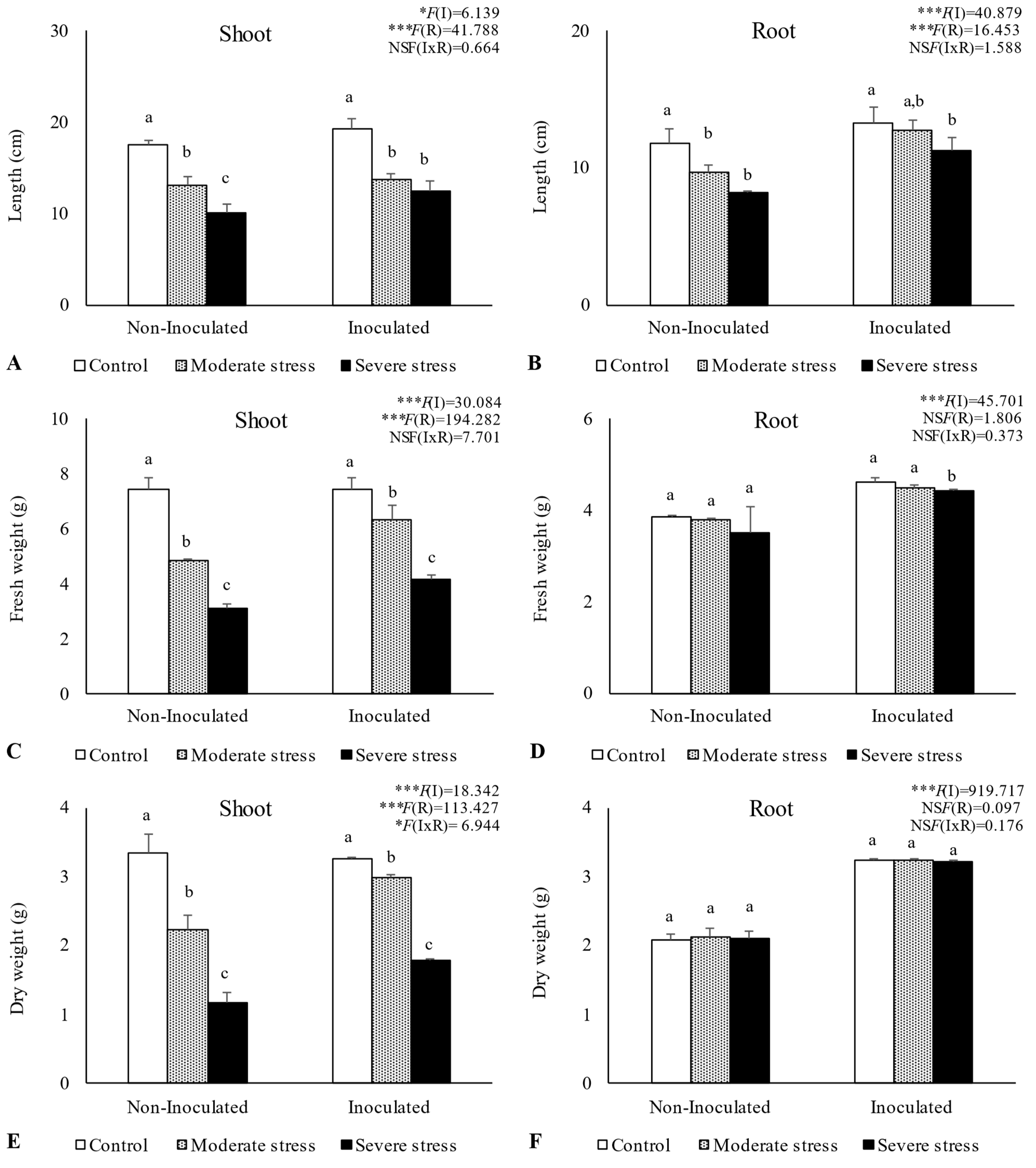 Plants 13 00863 g004