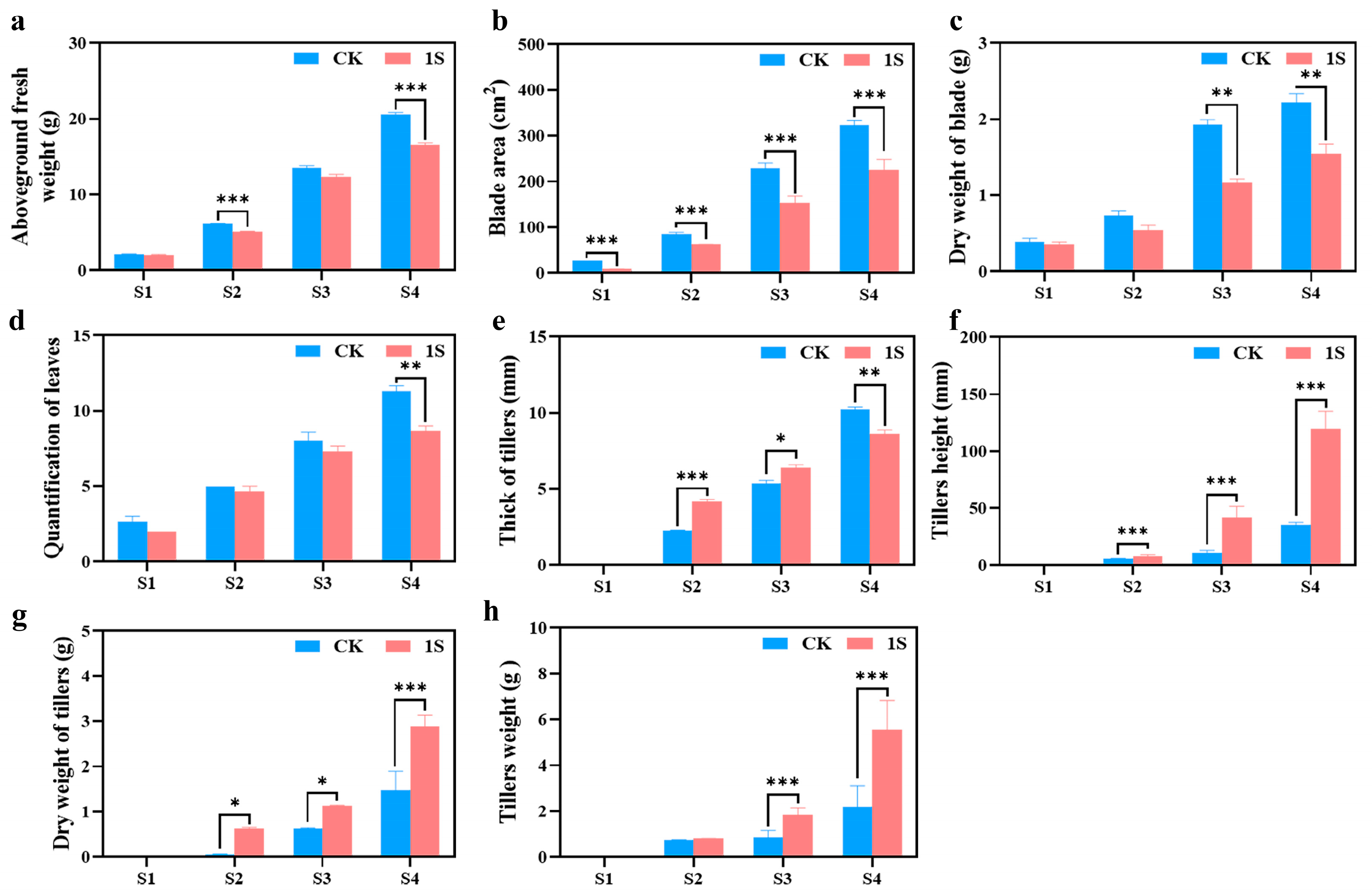Plants 13 00866 g002