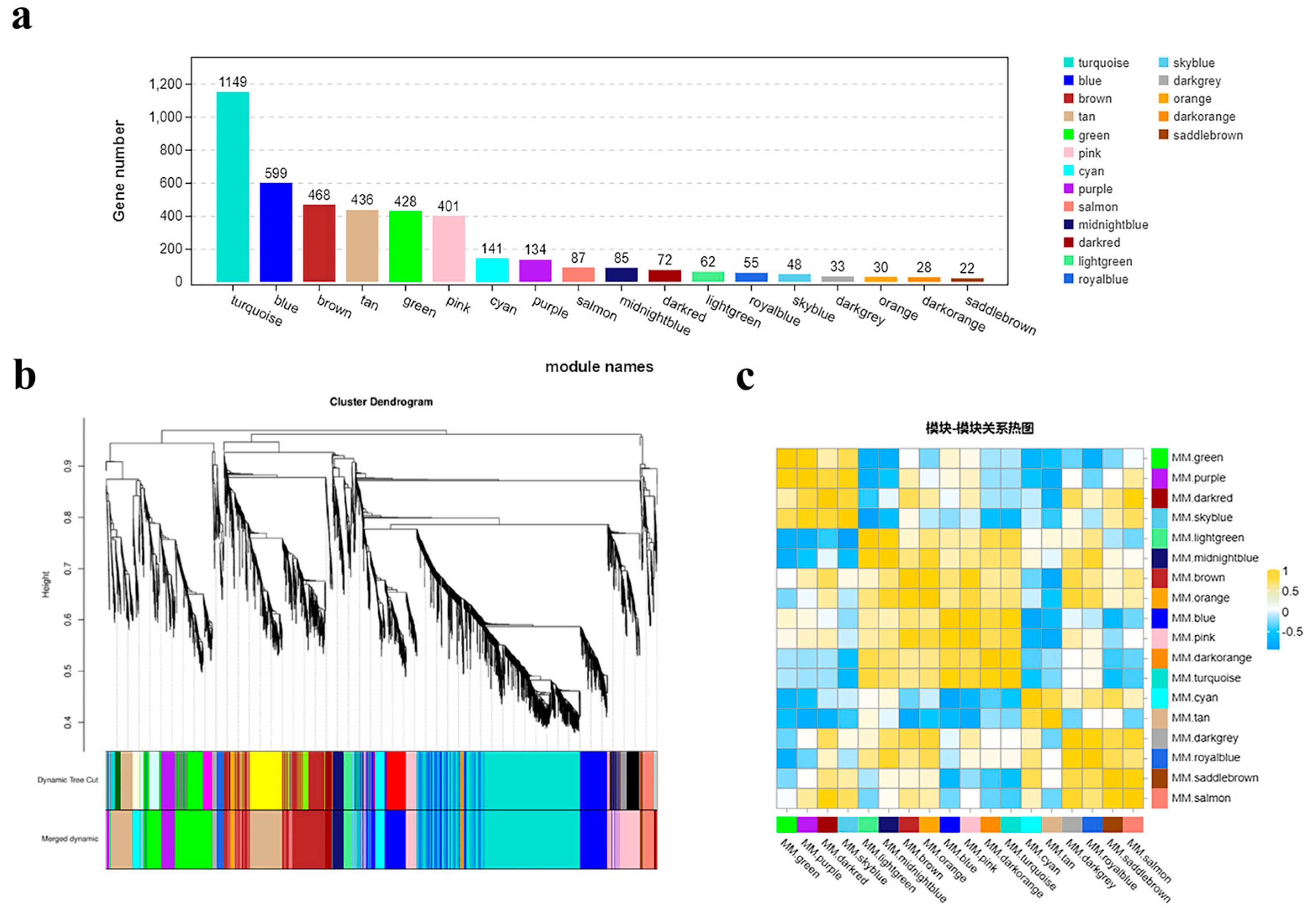 Plants 13 00866 g011