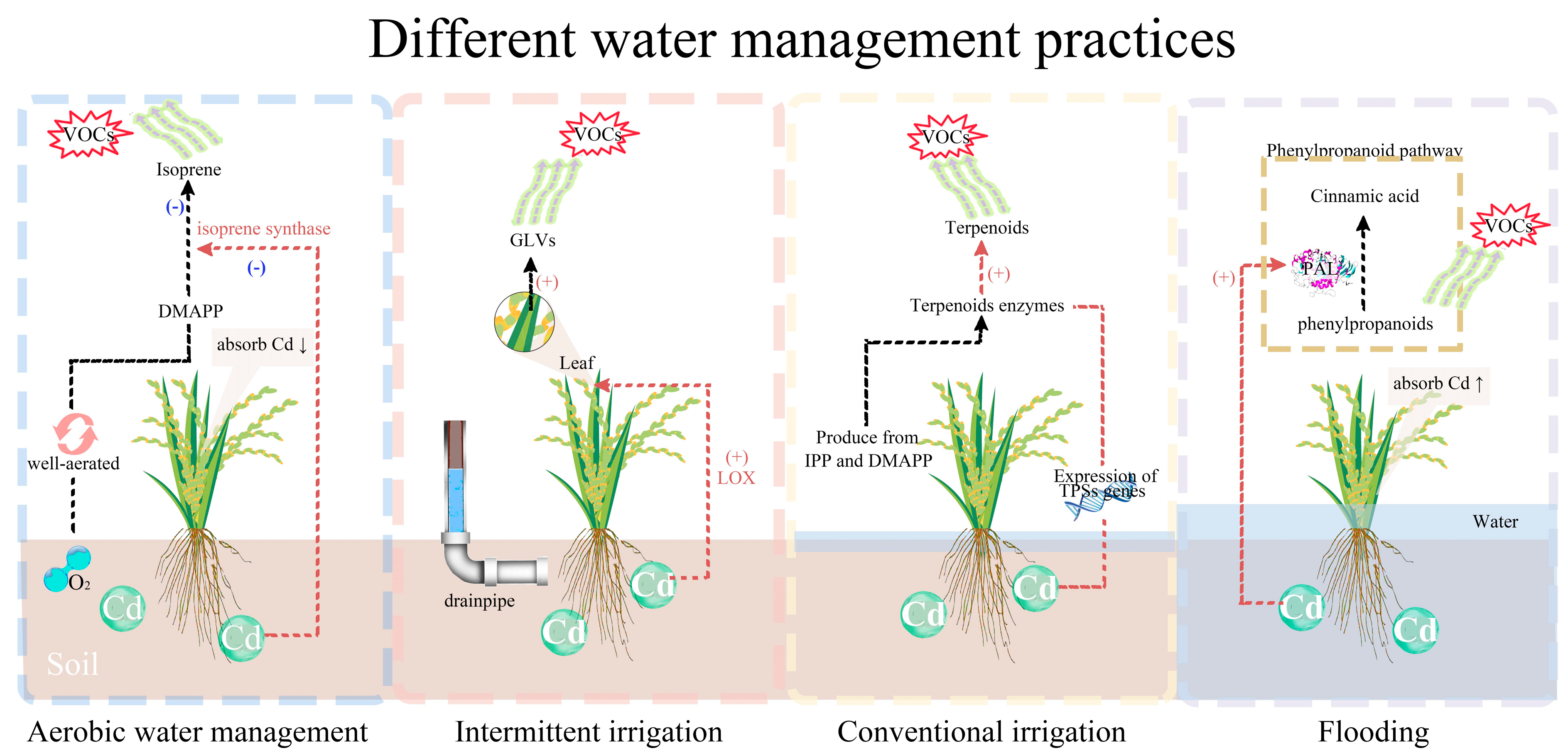 Plants 13 00871 g002
