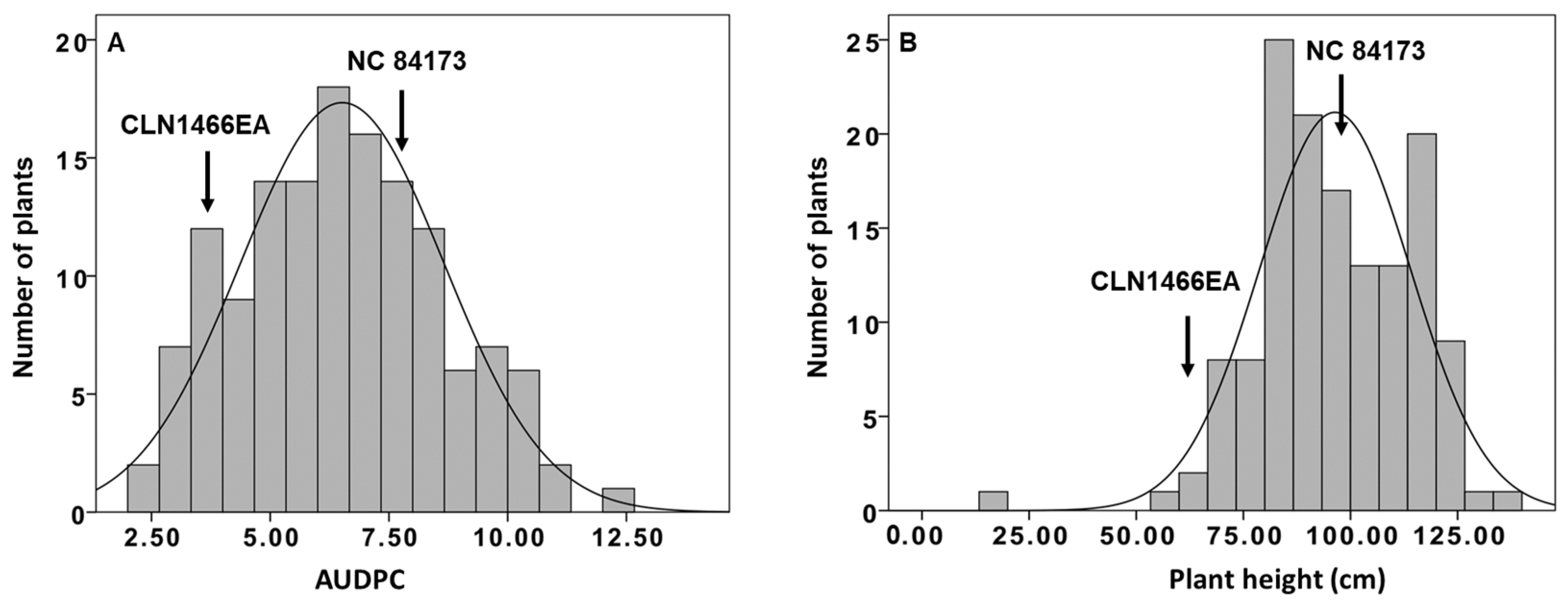 Plants 13 00876 g001