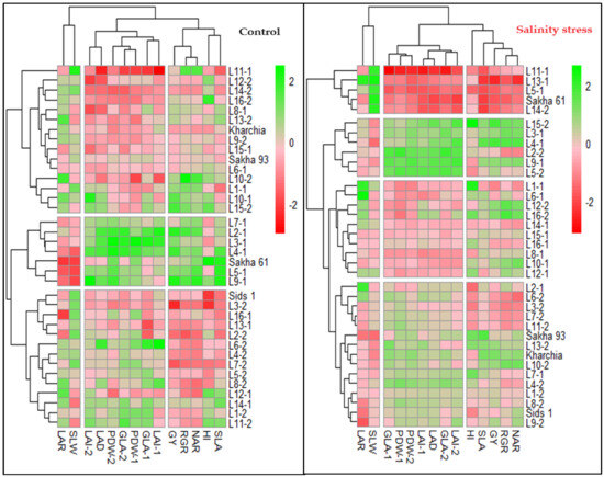 Plants 13 00882 g003