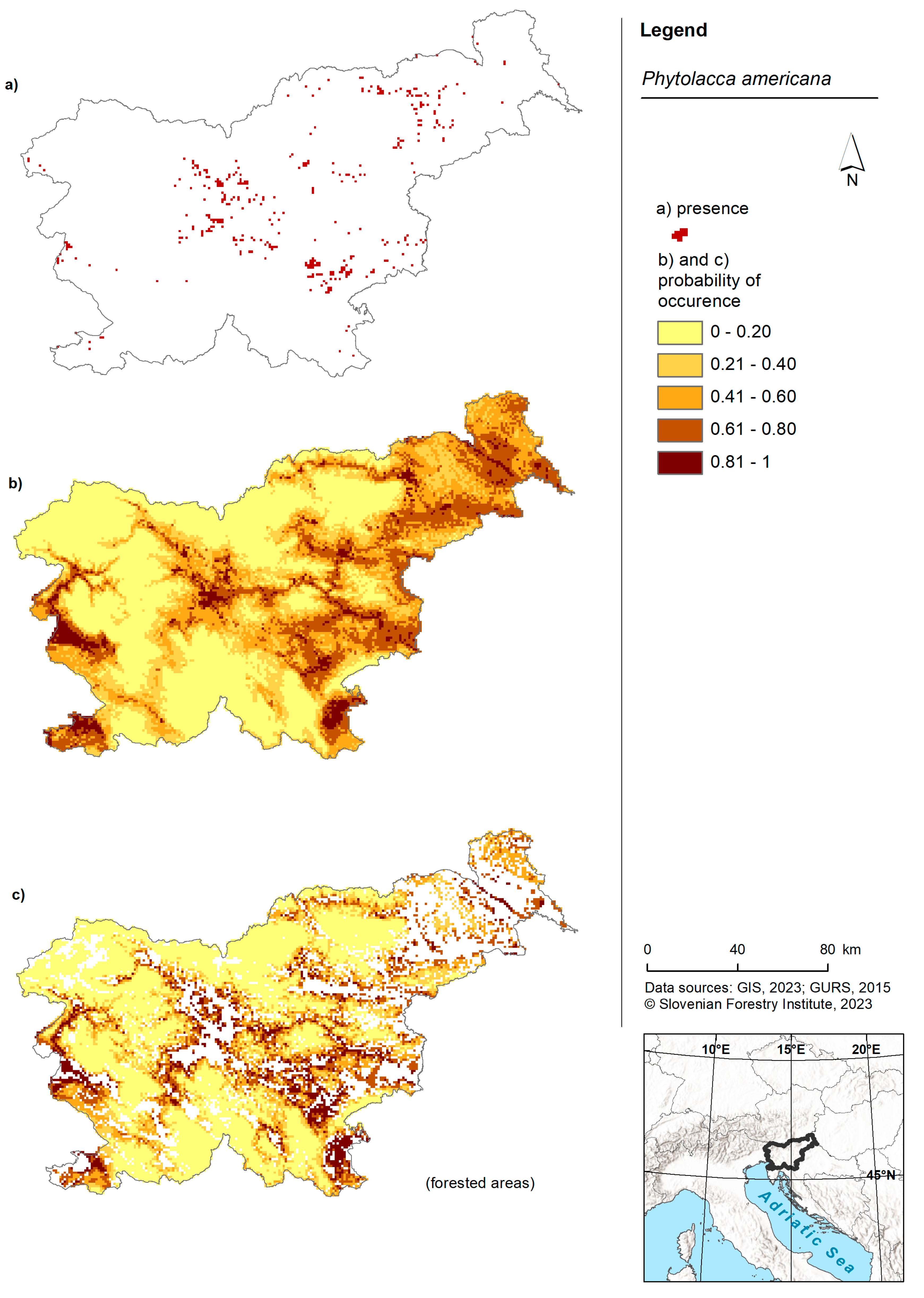 Plants 13 00883 g001