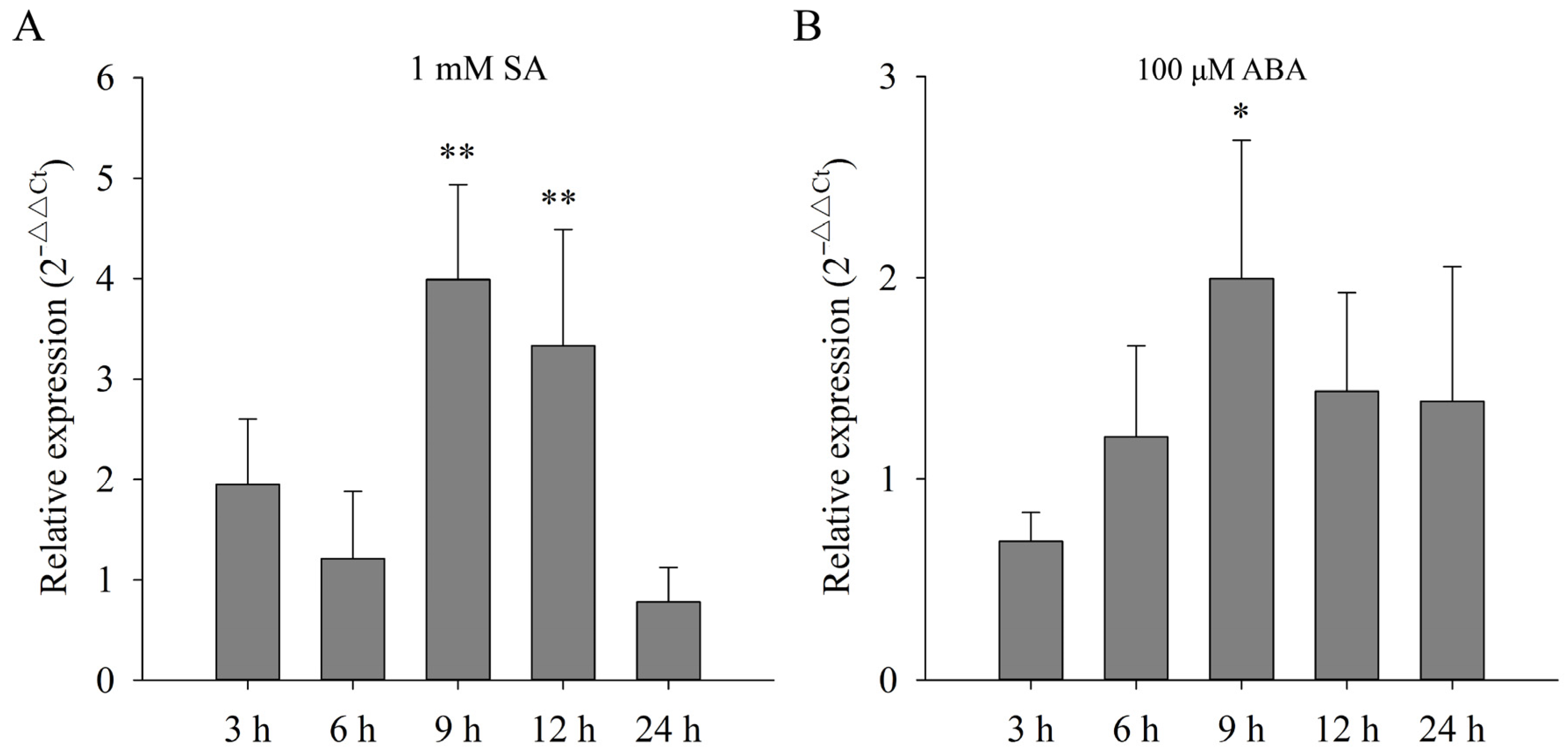 Plants 13 00884 g006