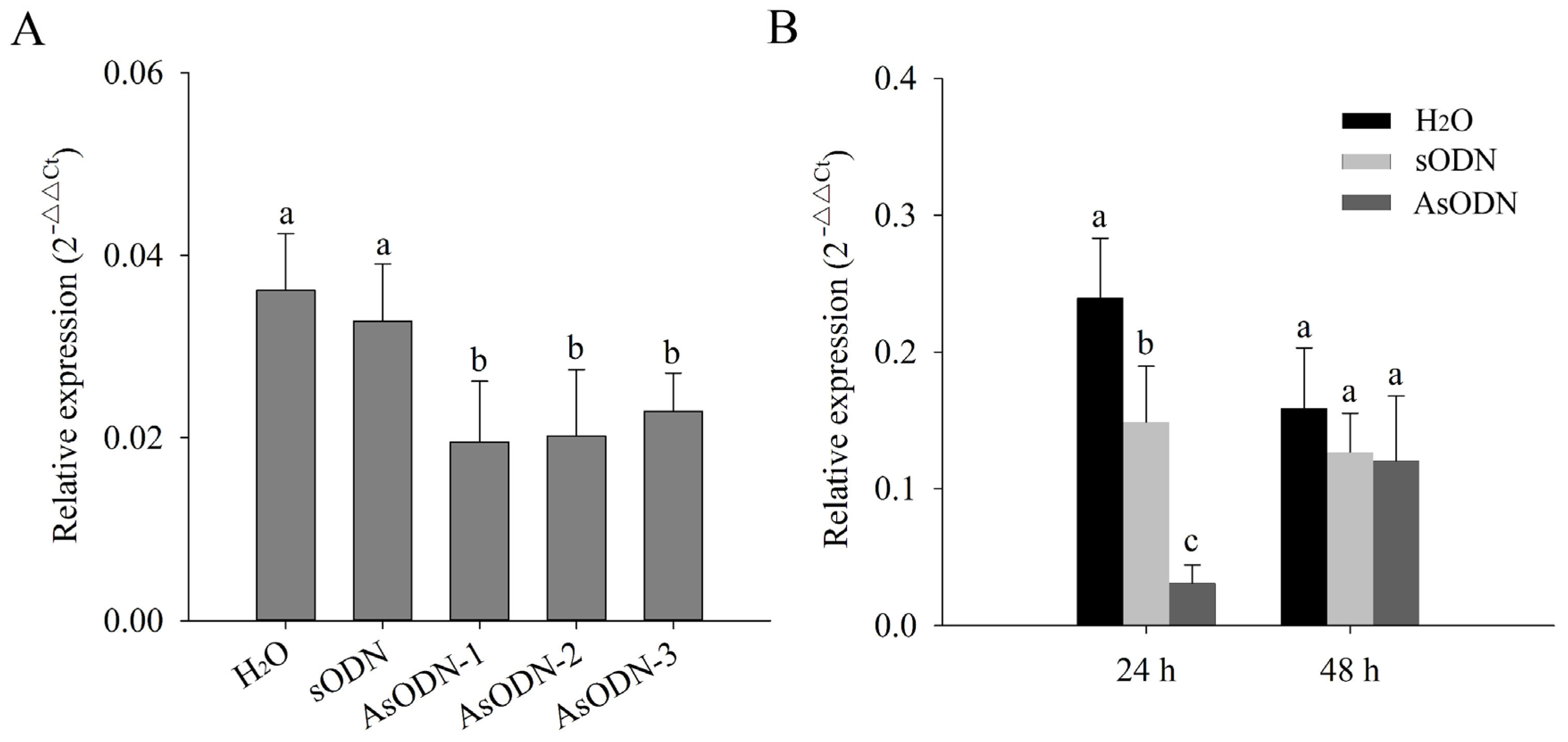 Plants 13 00884 g007