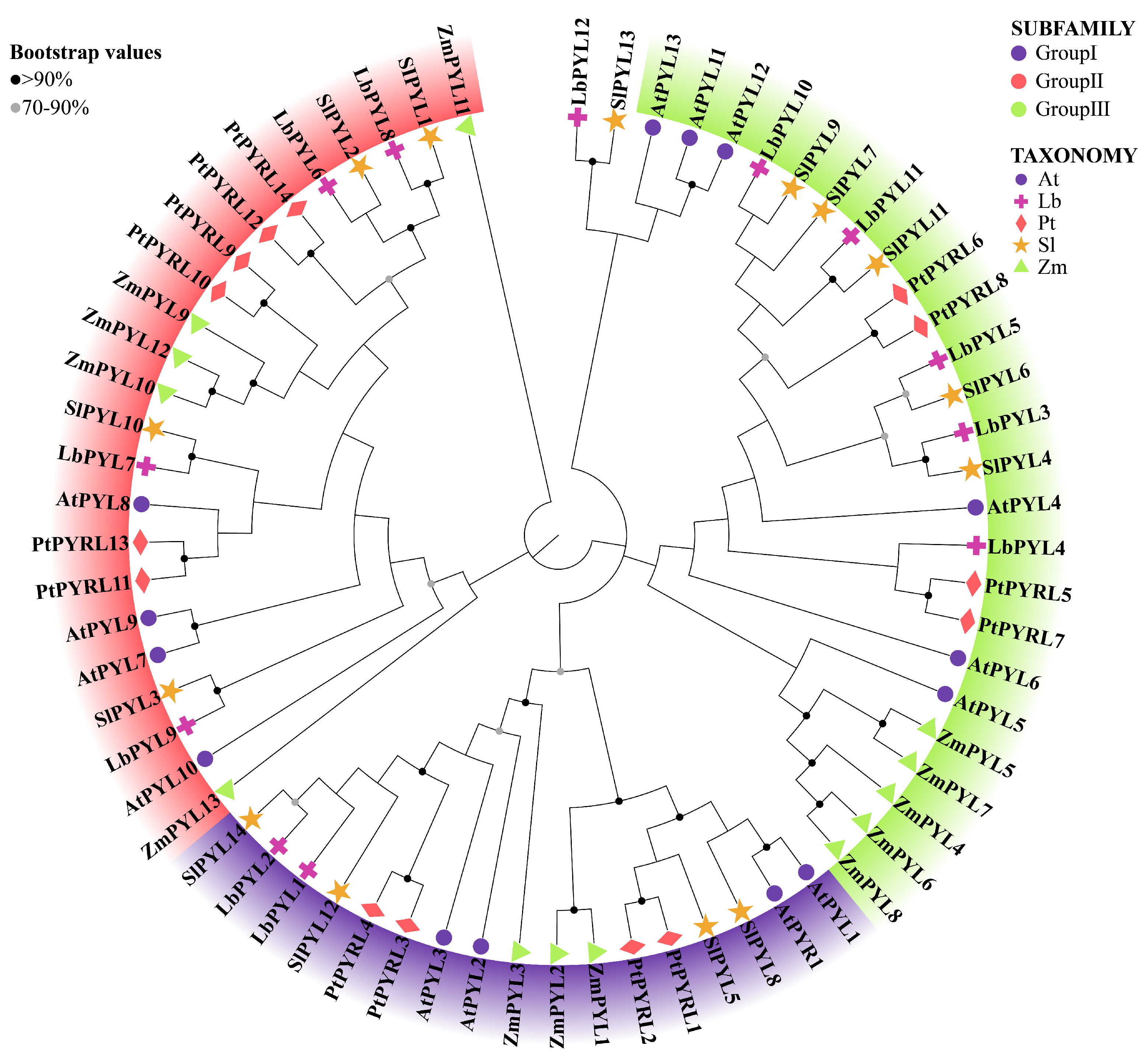 Plants 13 00887 g002
