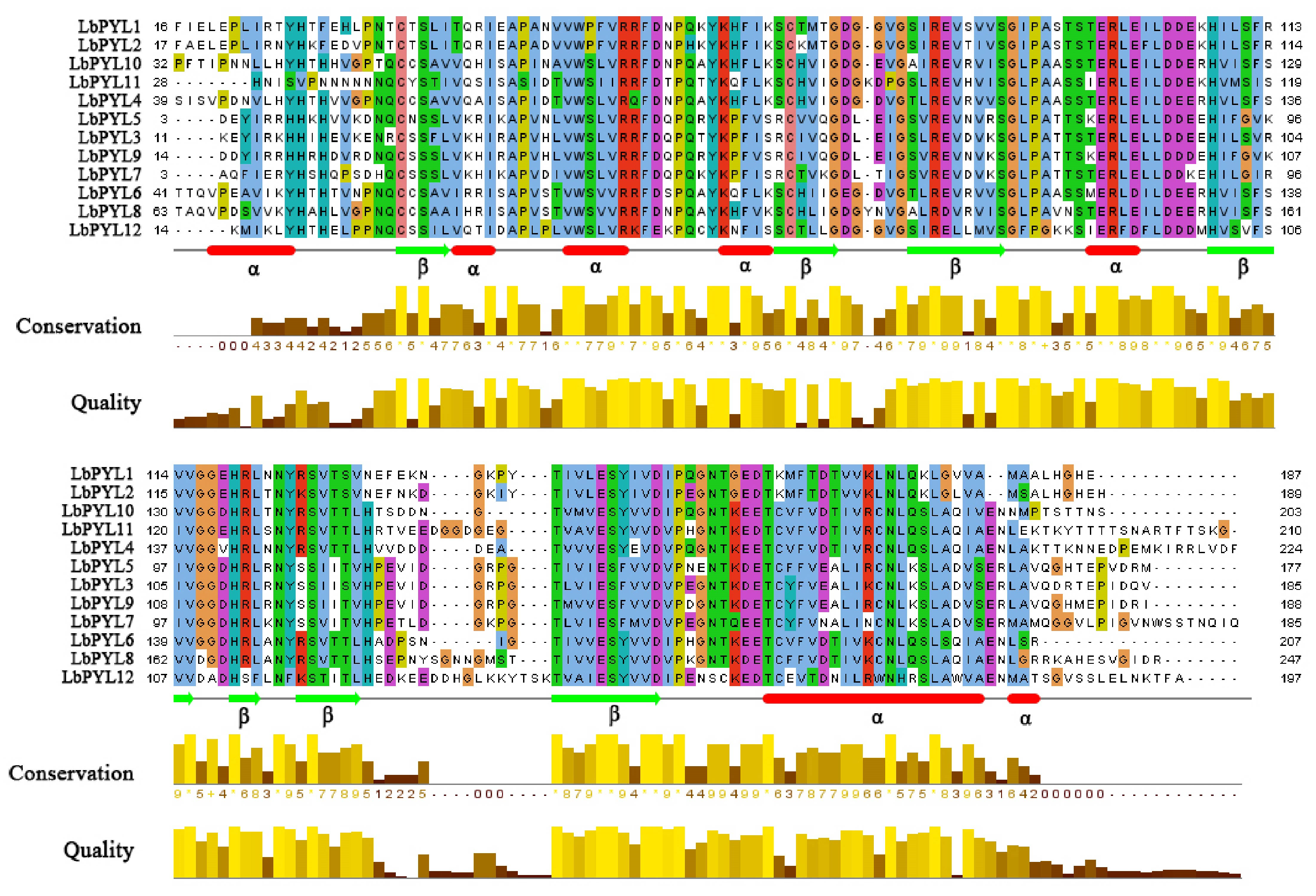 Plants 13 00887 g004