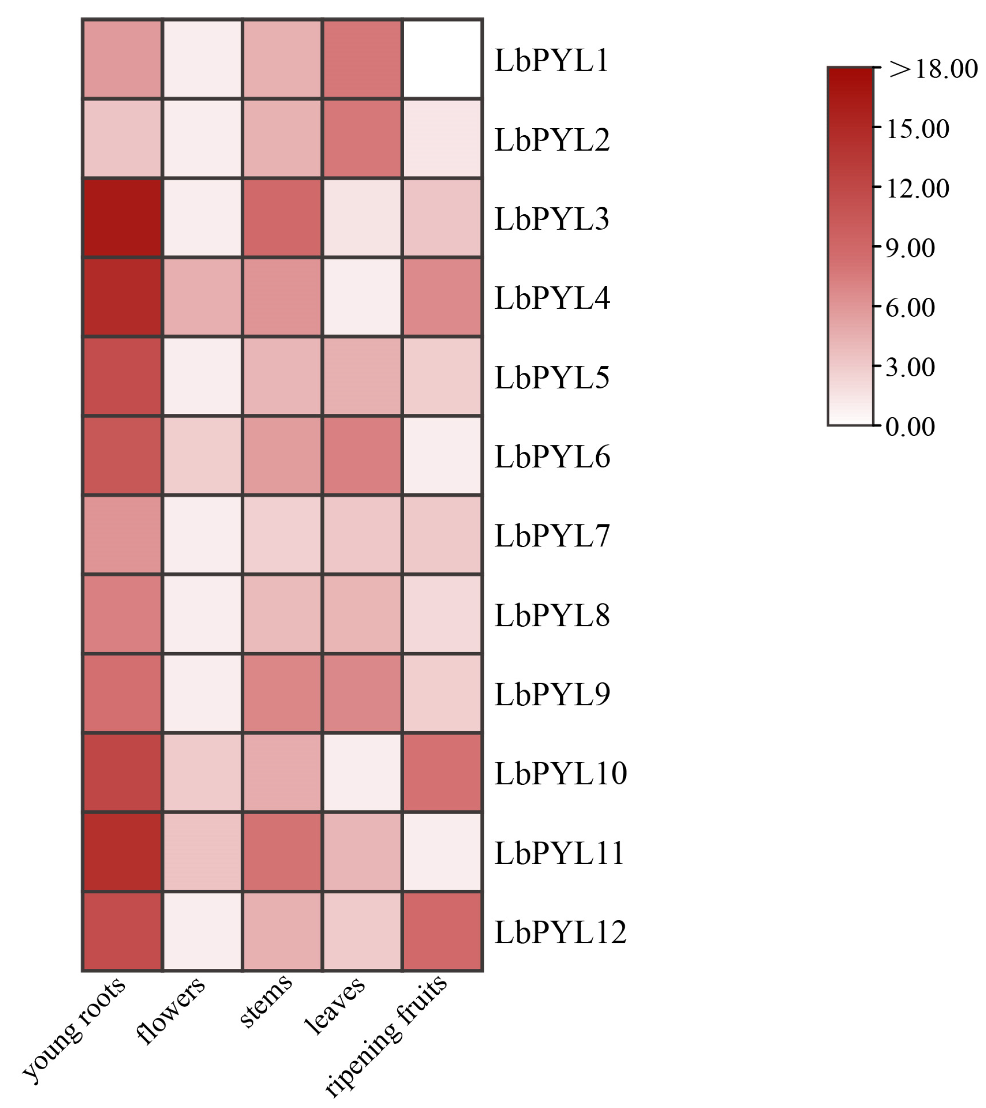 Plants 13 00887 g006