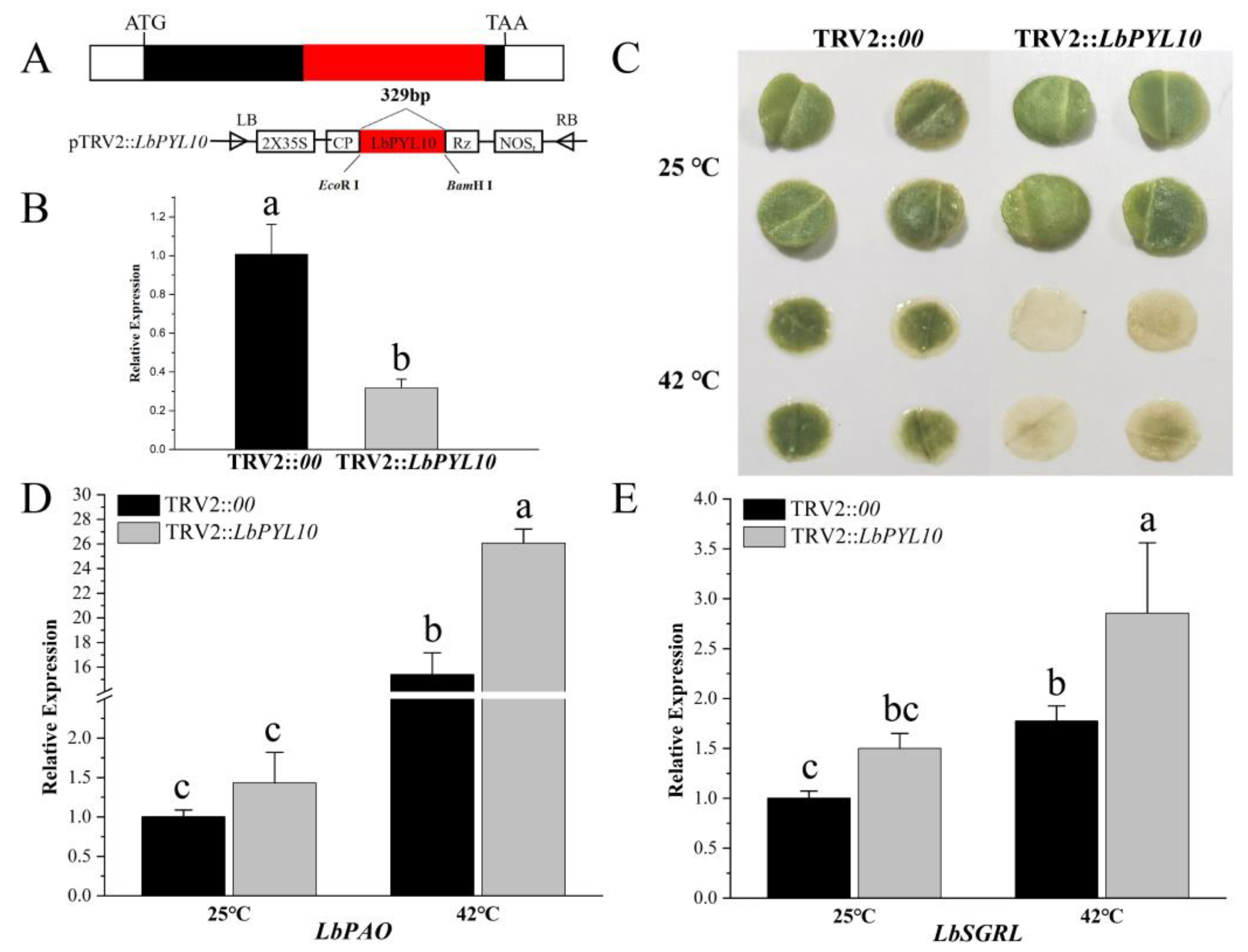 Plants 13 00887 g009