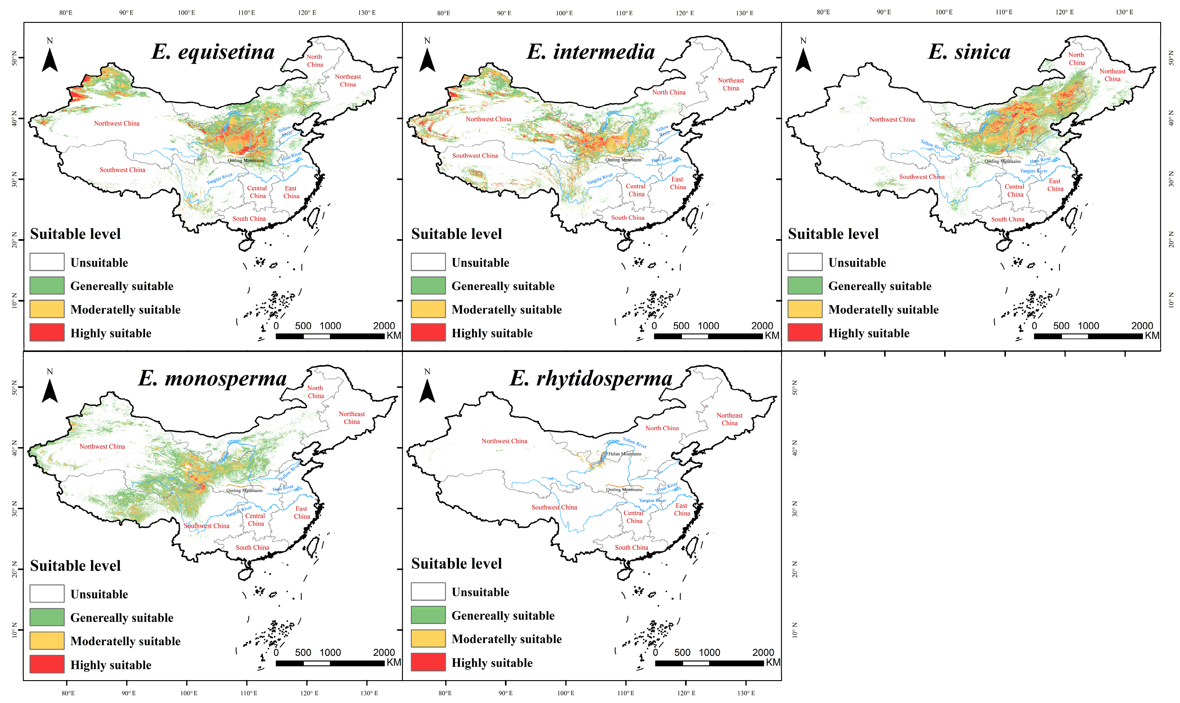 Plants 13 00890 g001