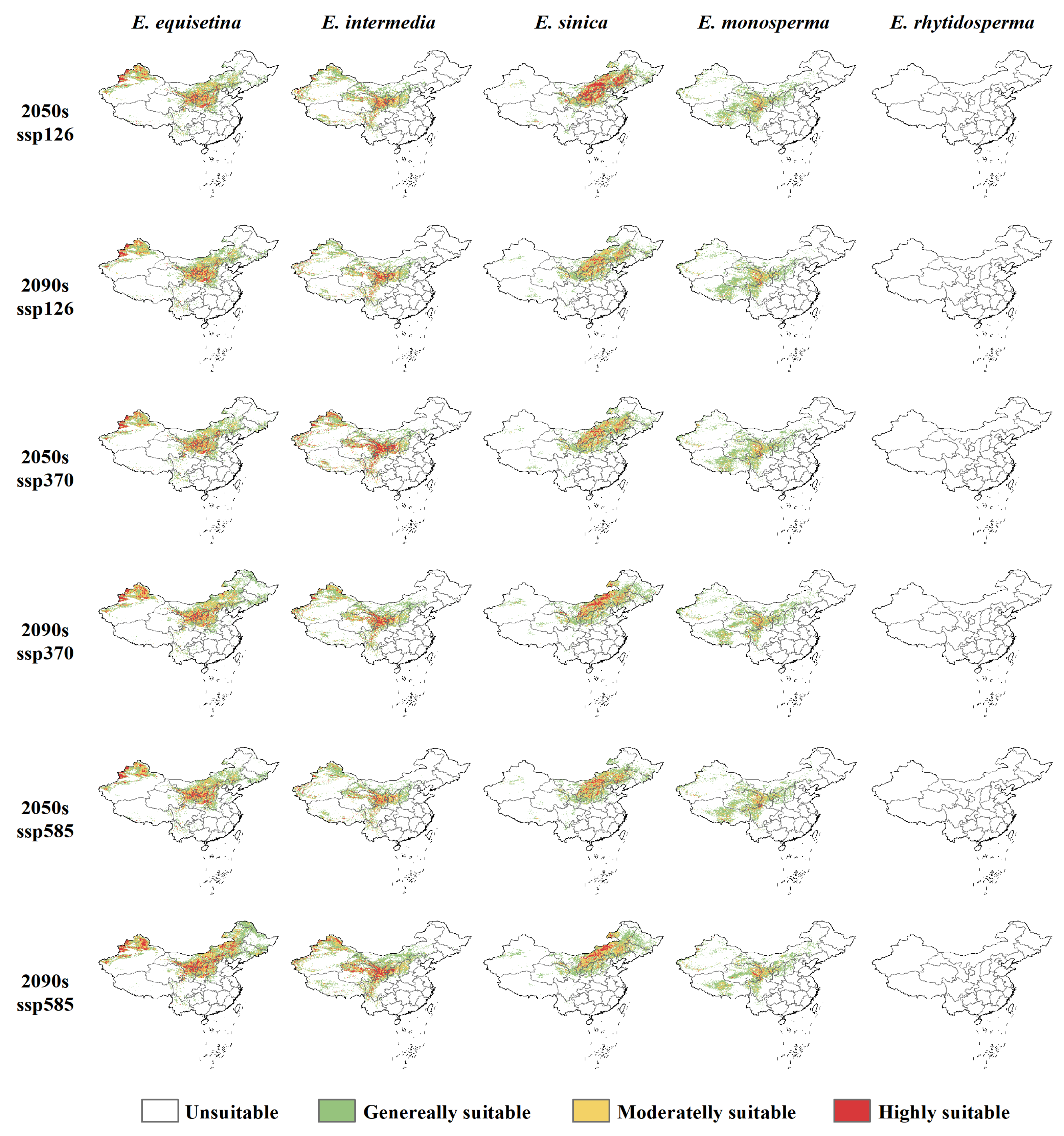 Plants 13 00890 g002