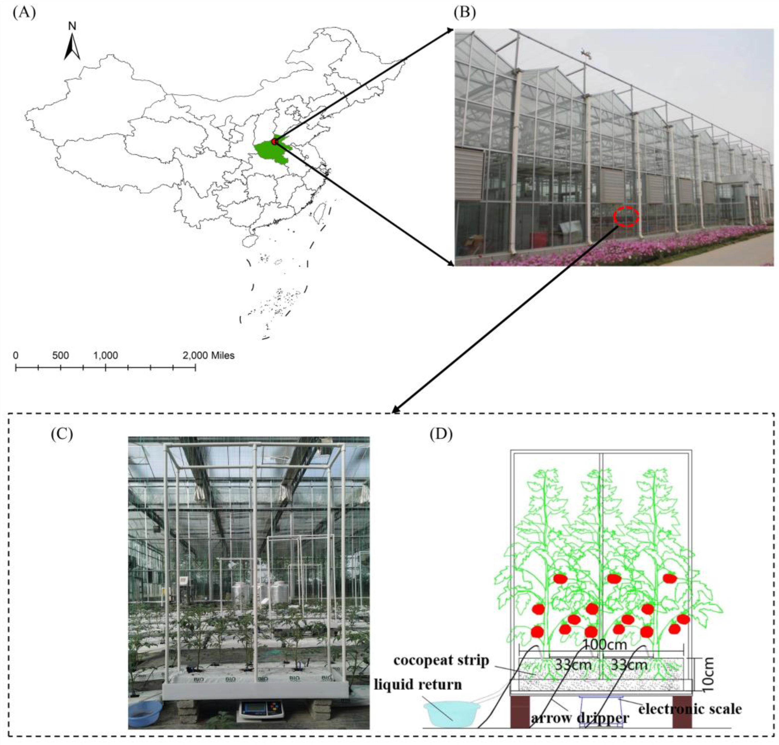 Plants 13 00893 g003