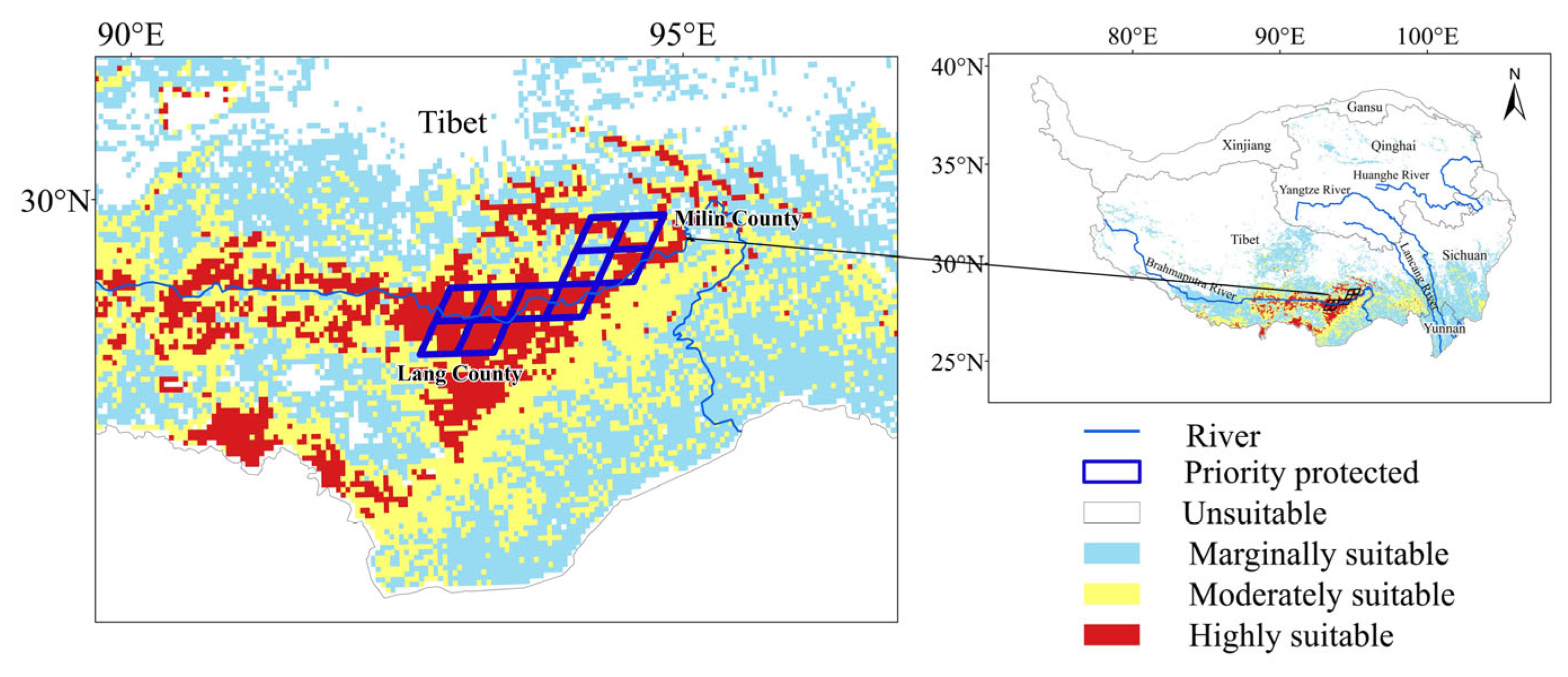 Plants 13 00896 g005