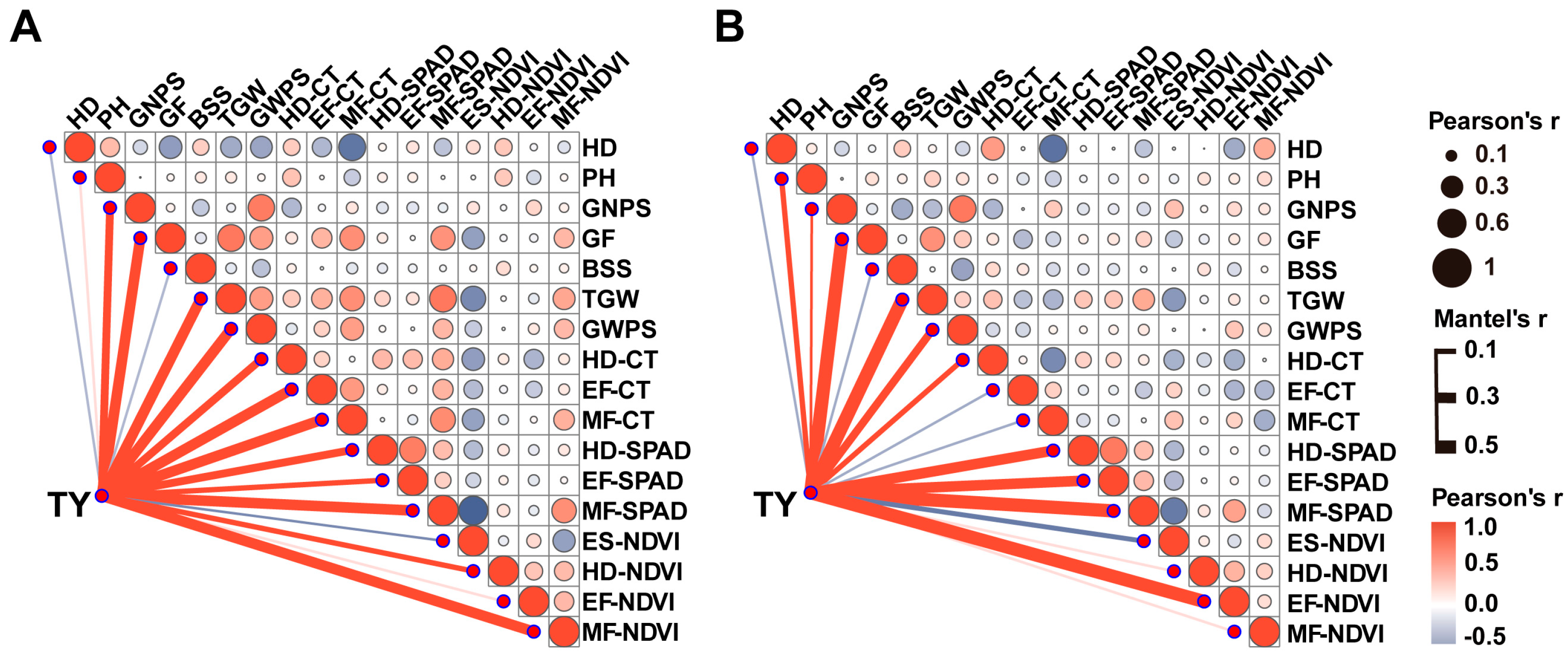 Plants 13 00898 g001