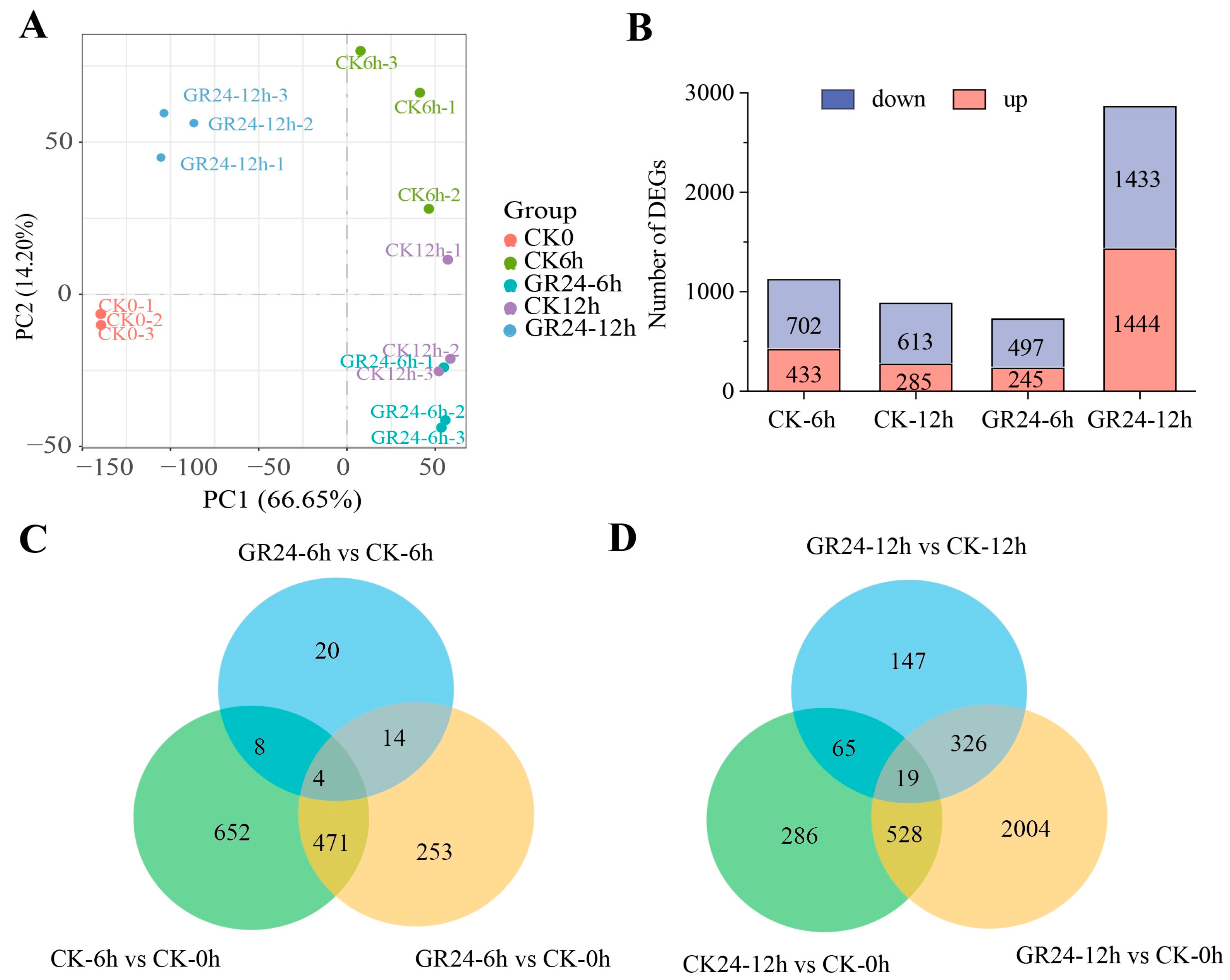 Plants 13 00899 g003