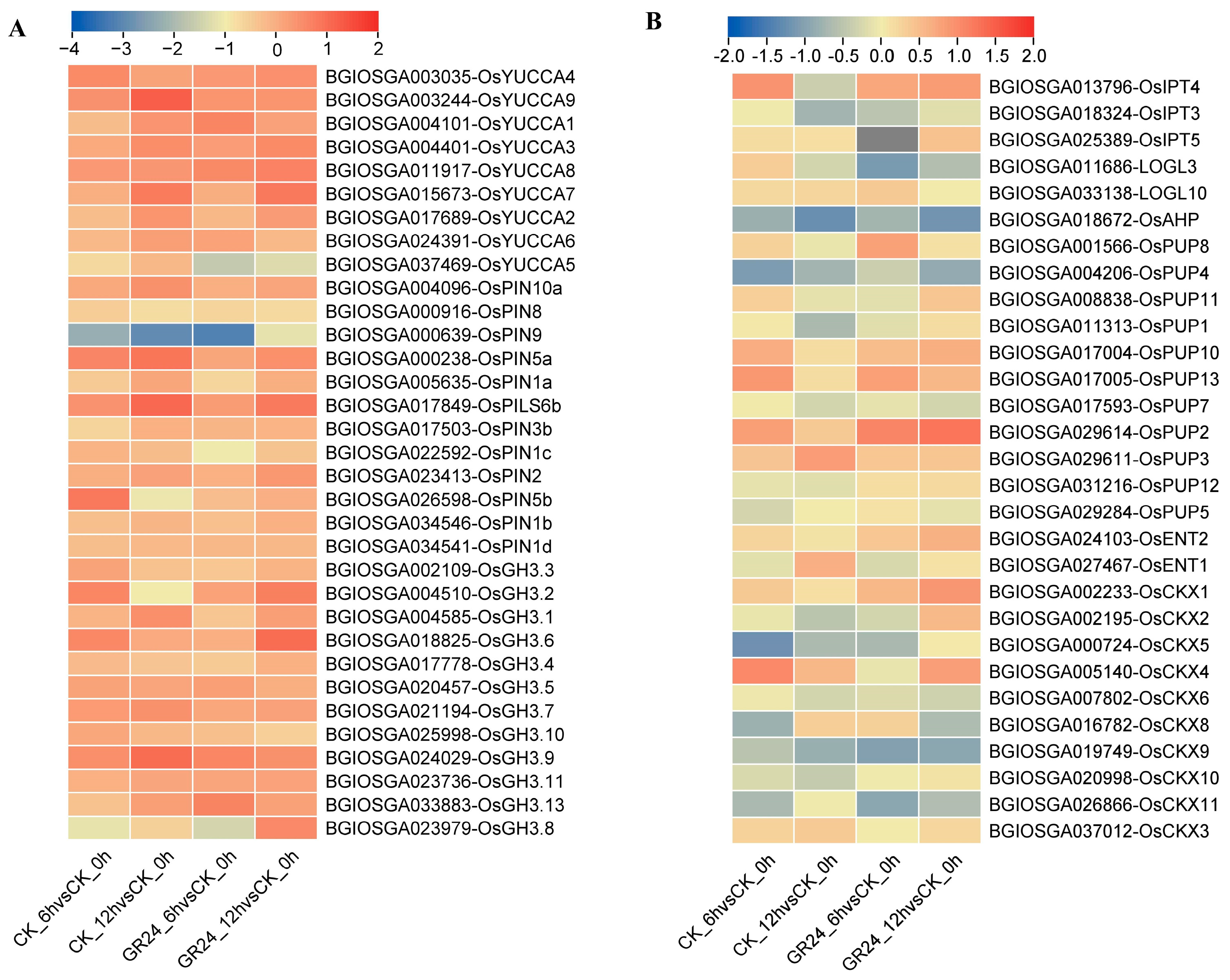 Plants 13 00899 g006