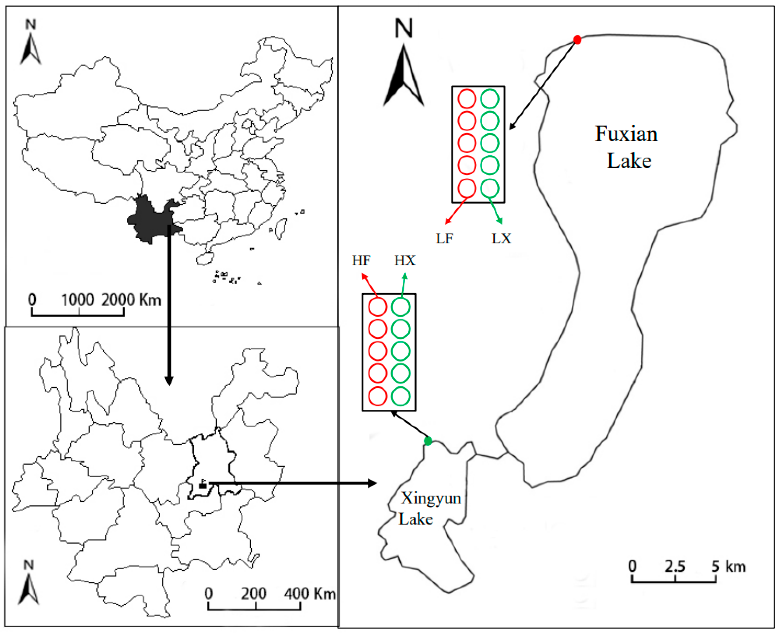 Plants 13 00903 g004