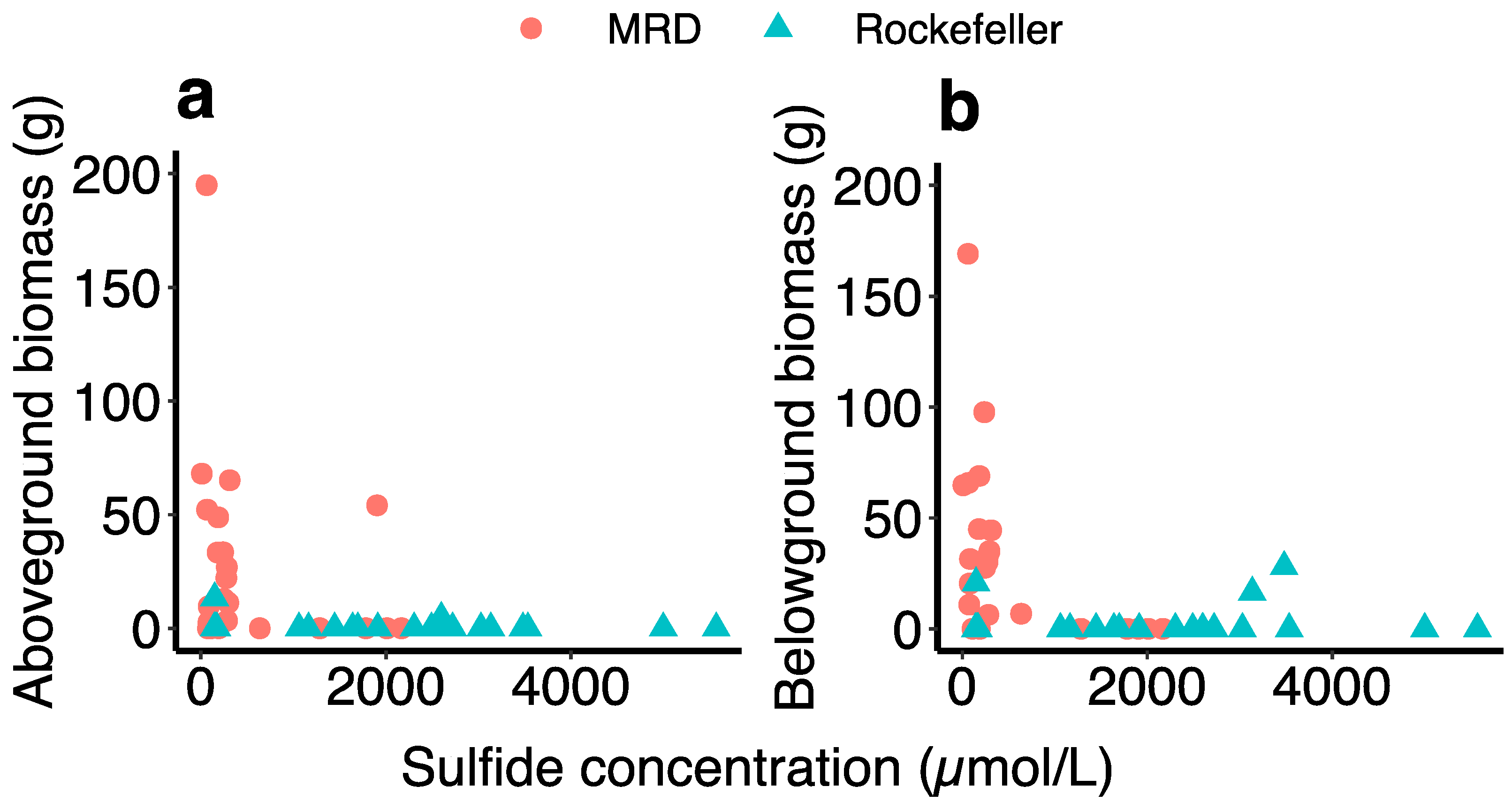 Plants 13 00906 g008
