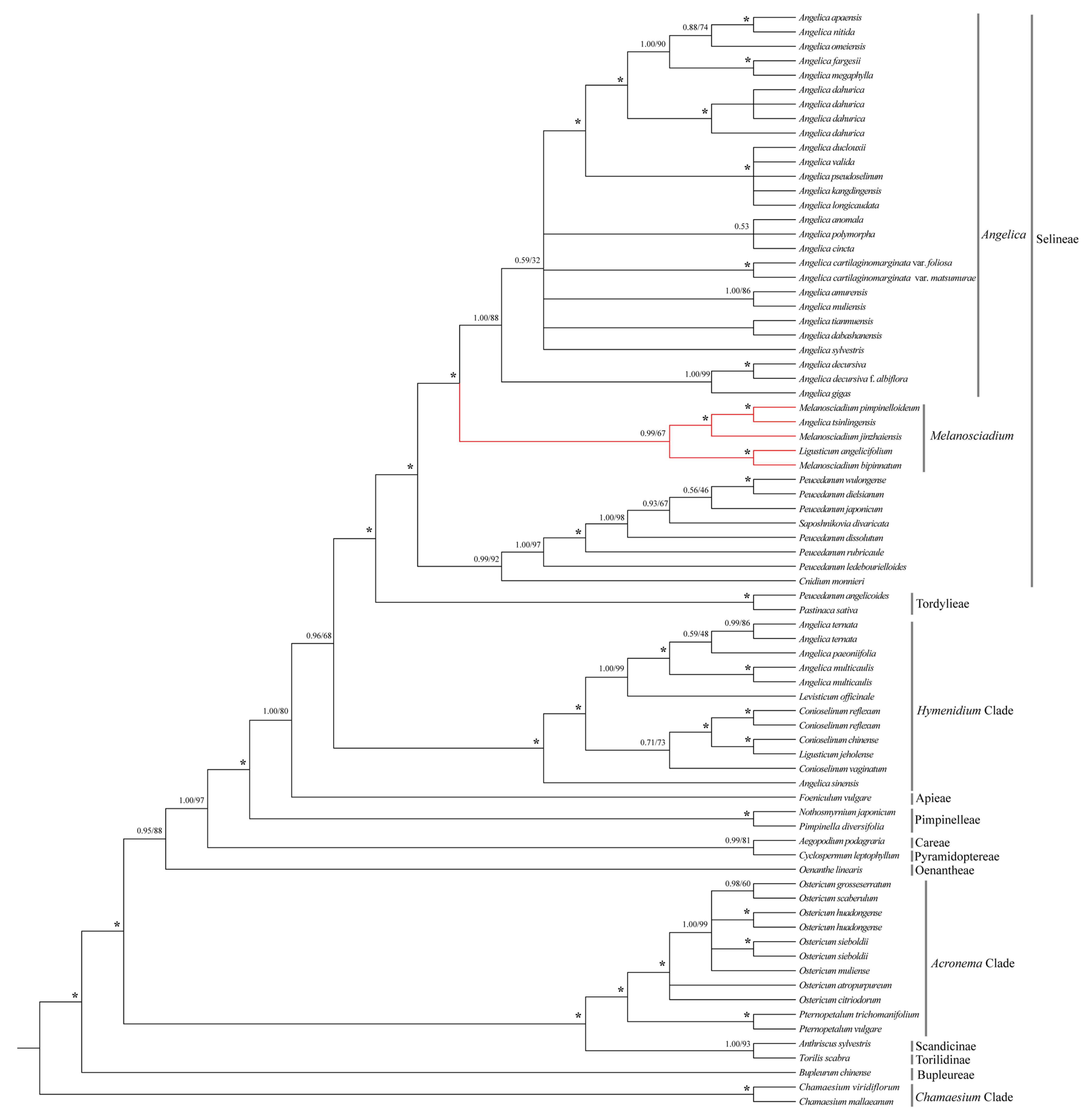 Plants 13 00907 g007